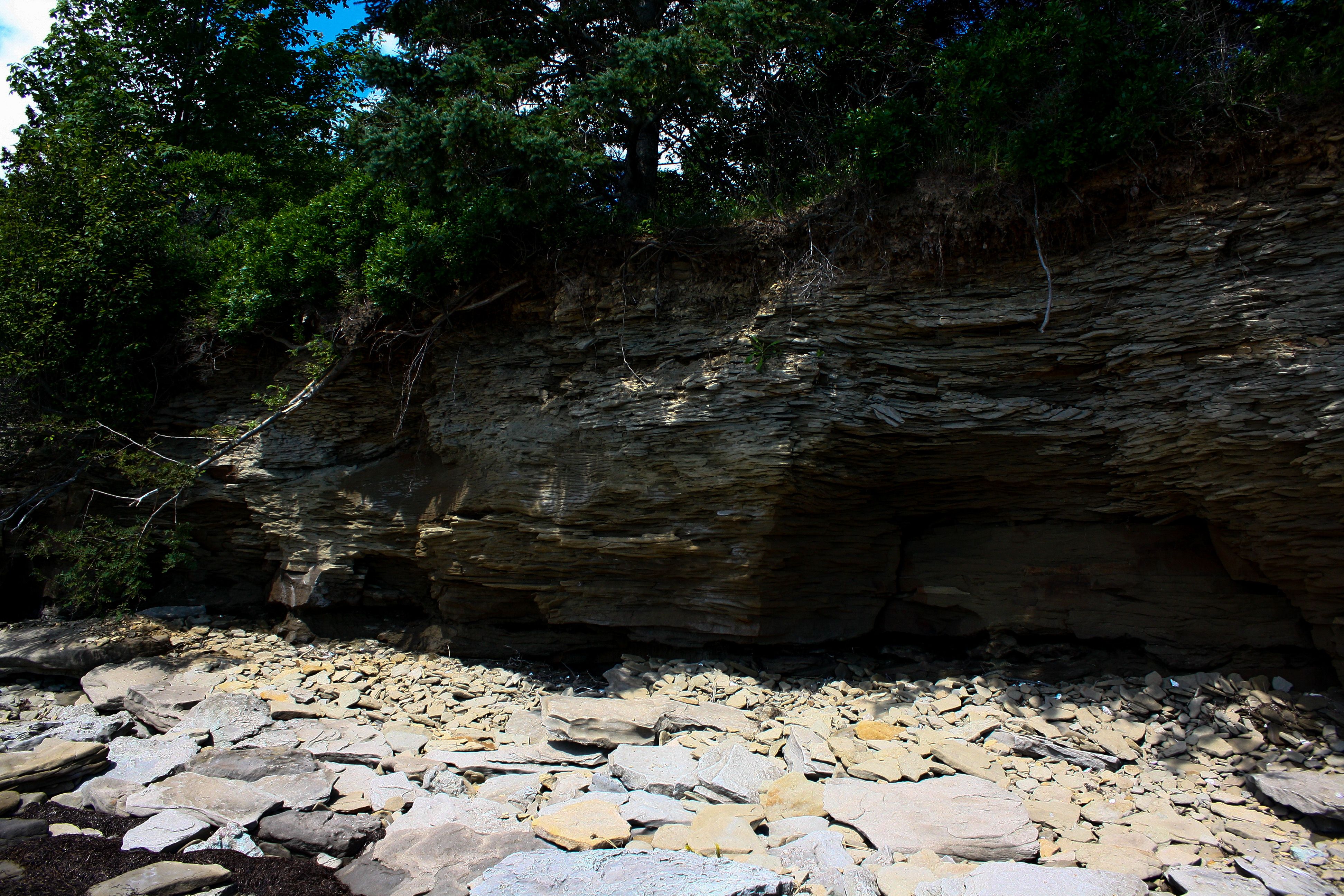 secluded beach shediac