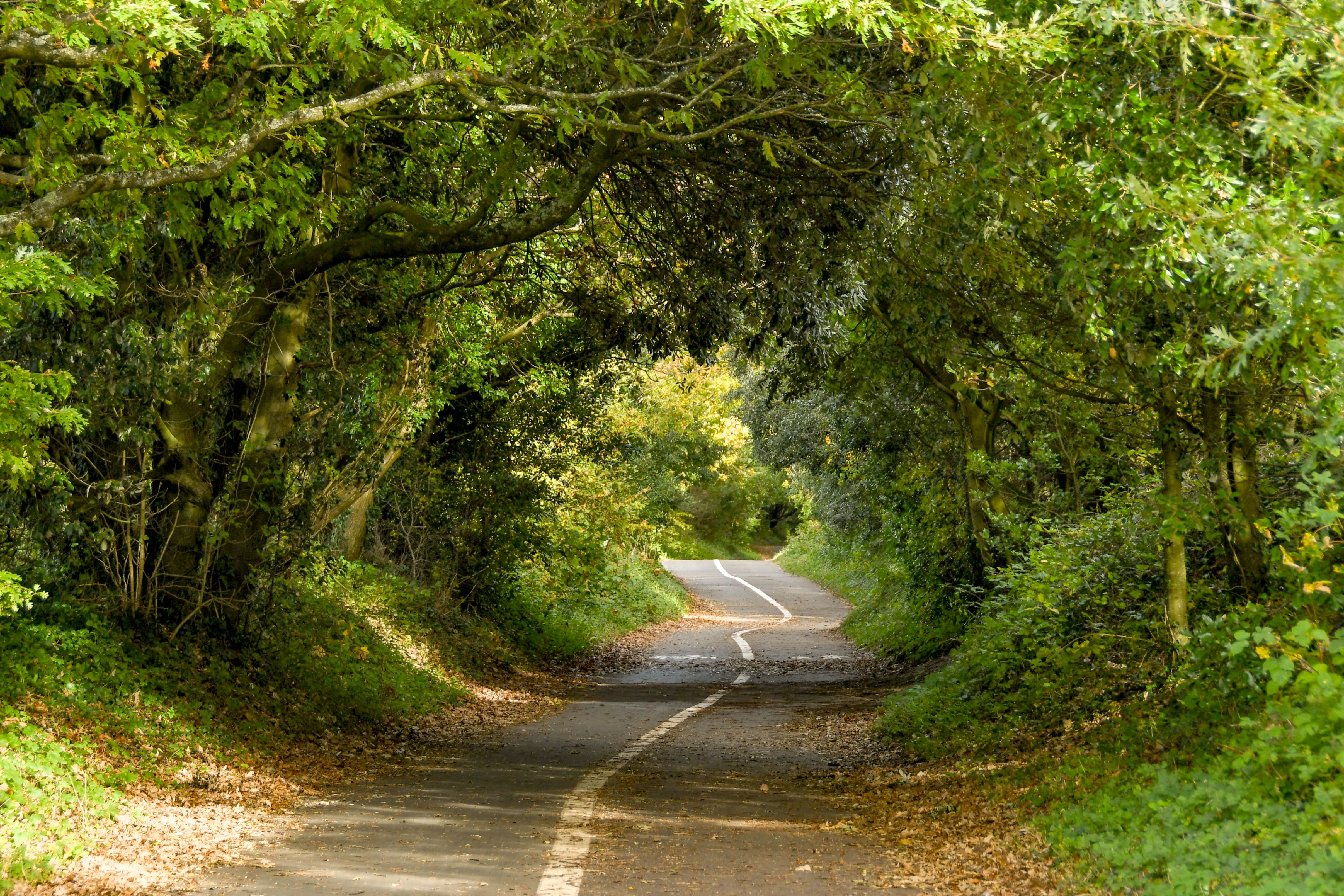 Swansea bike path