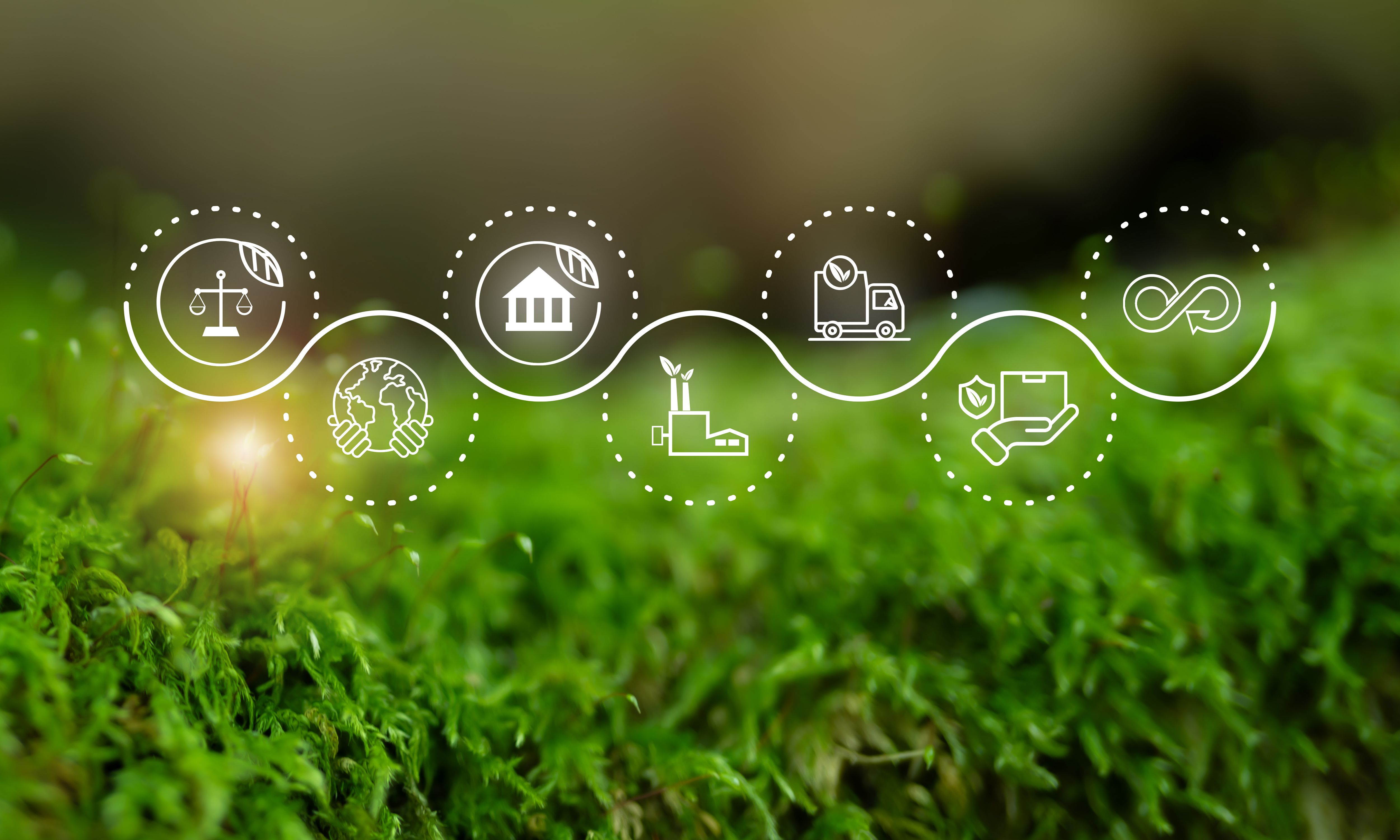 ethical supply chain