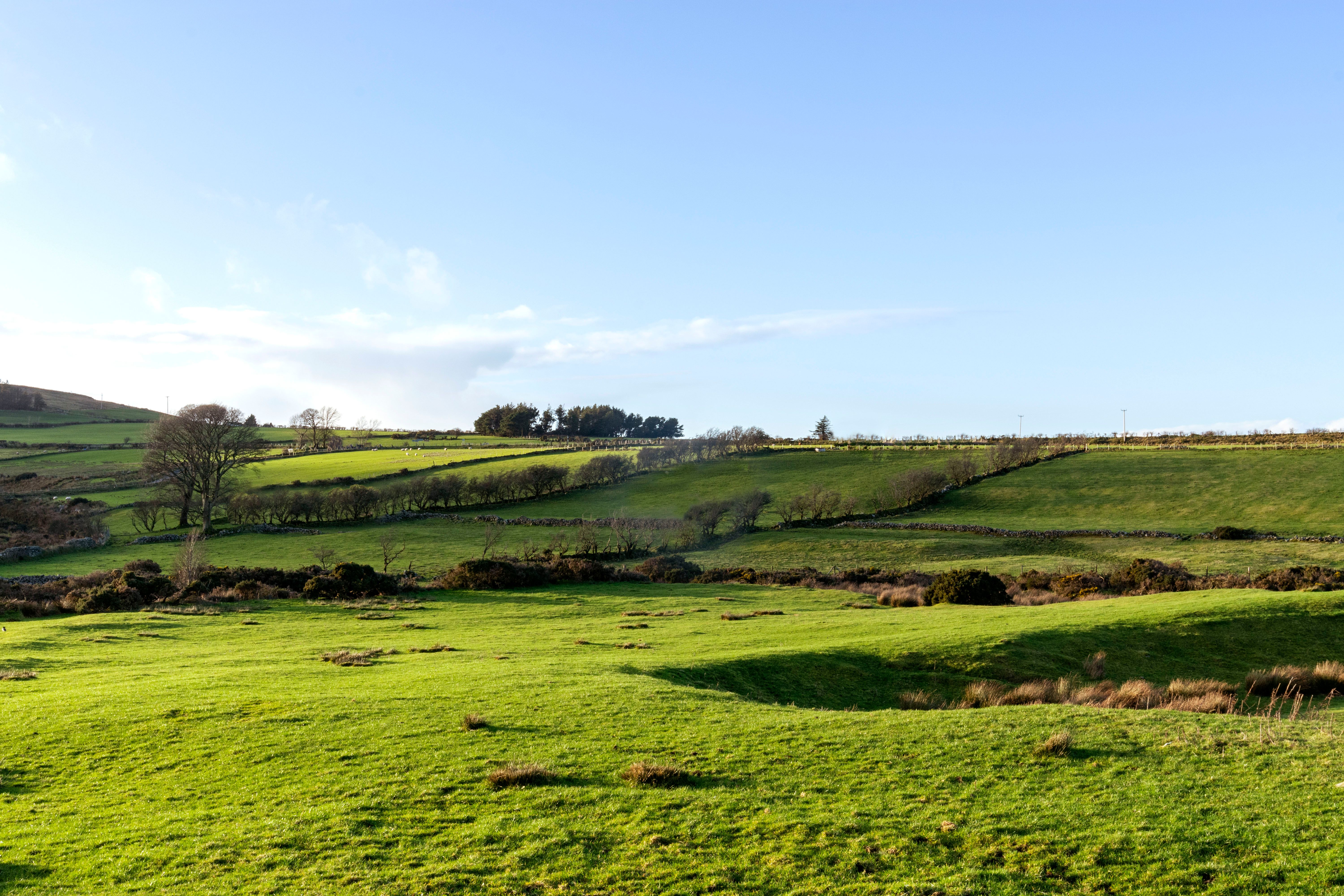 Agricultural field in the Mourne Mountains Northern Ireland Stock photo