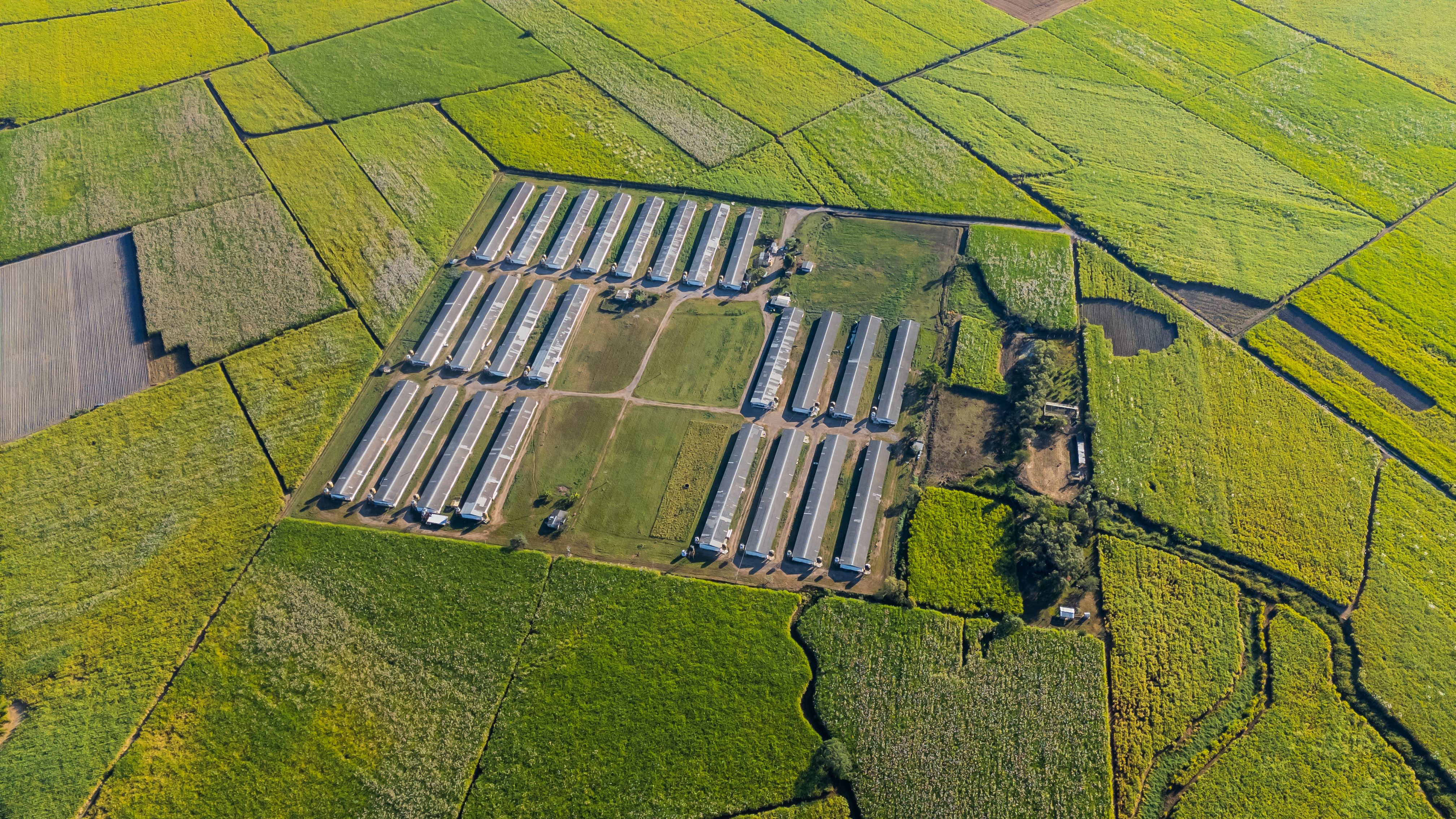 modern farming