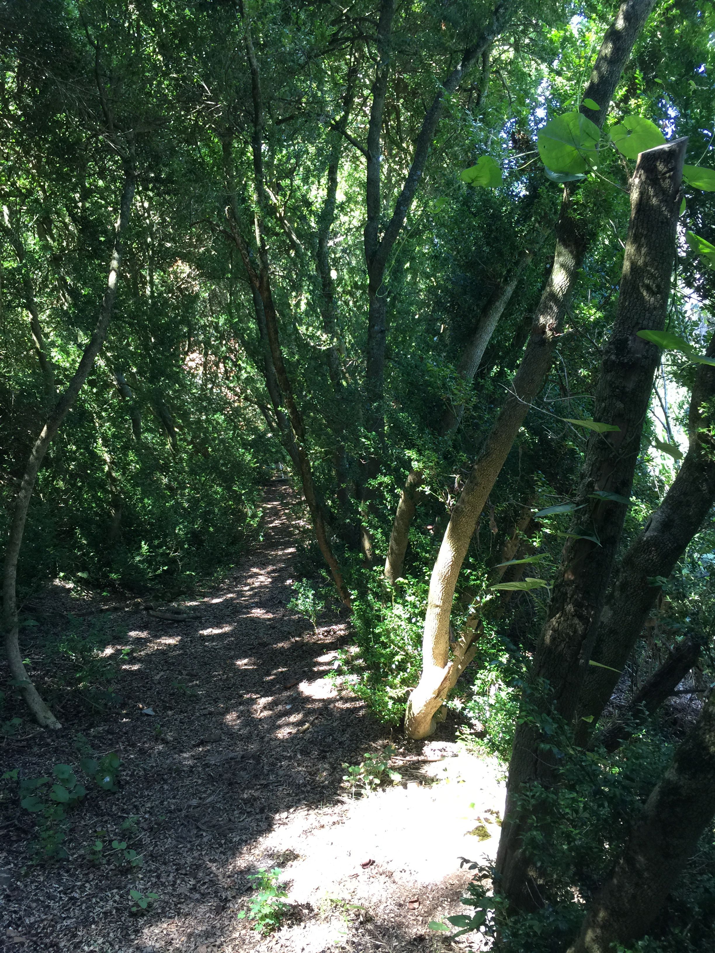 leesburg biking trail