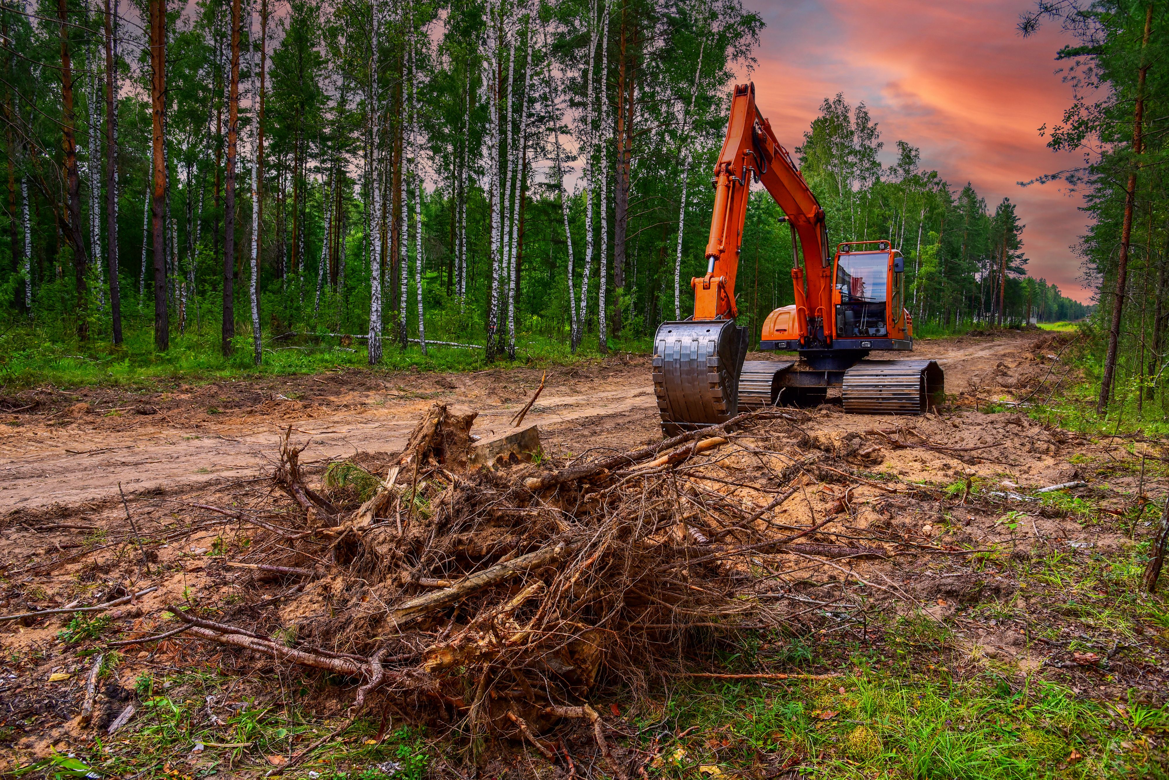 land clearing technology