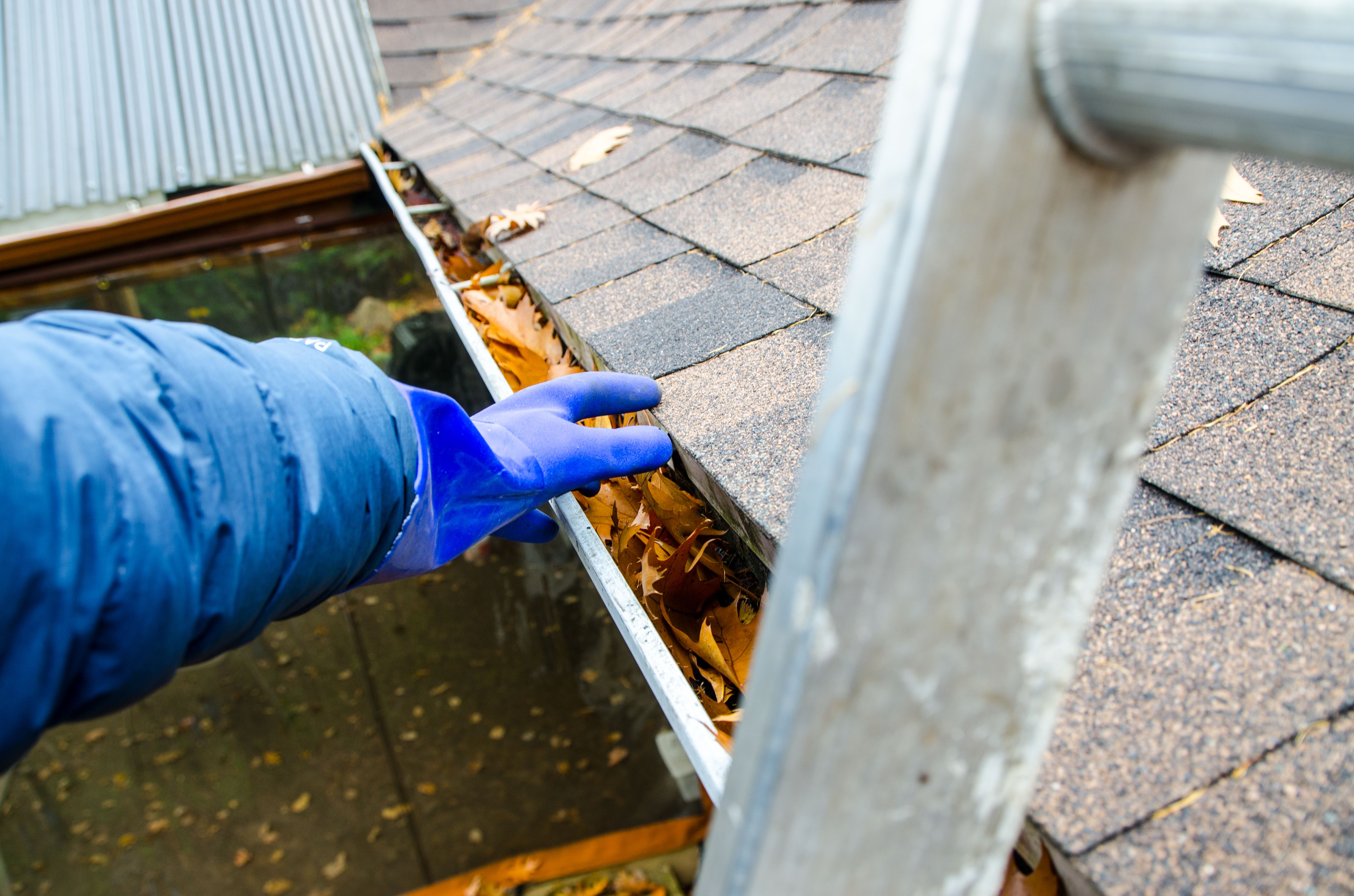 fall gutter cleaning