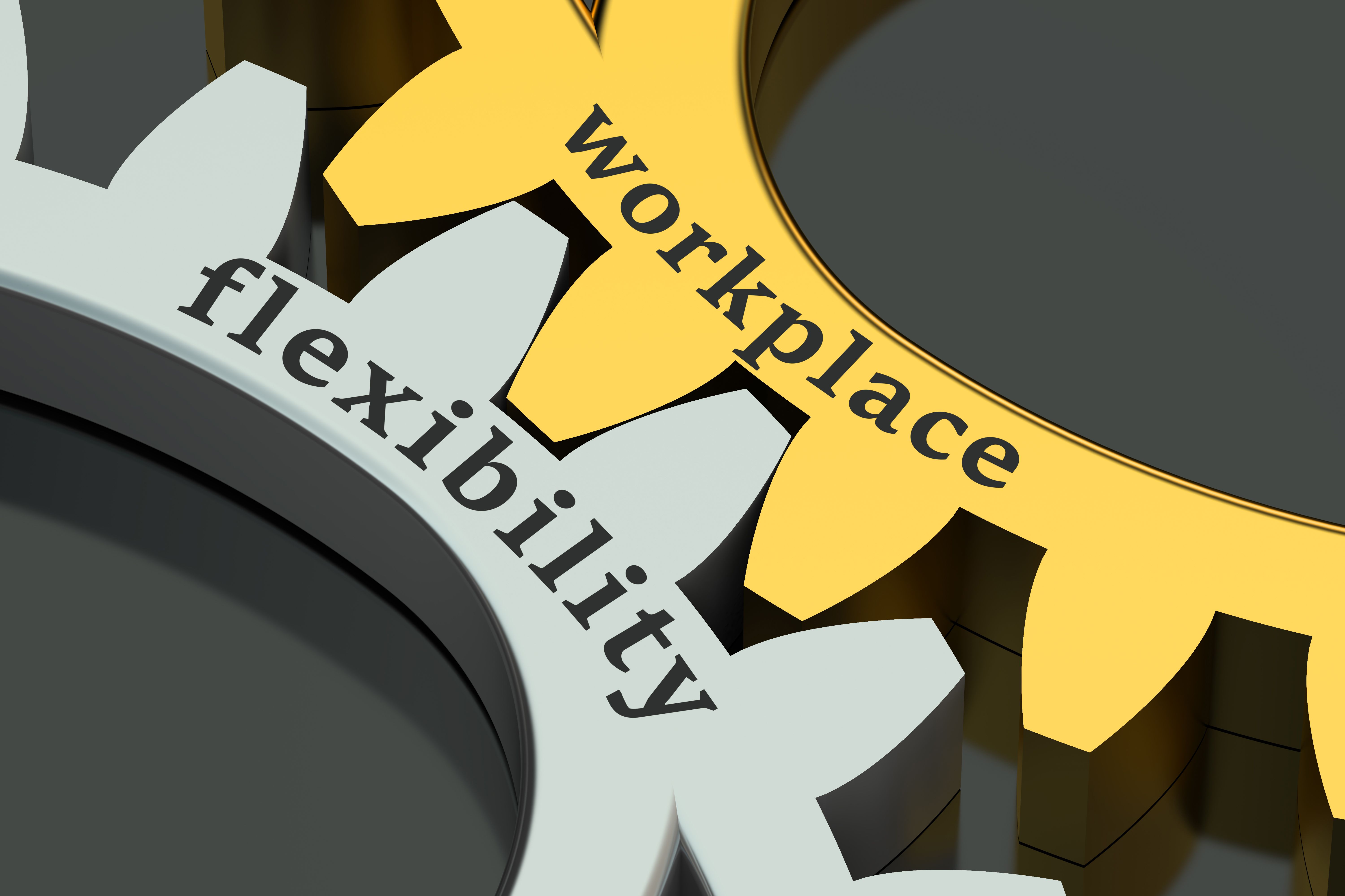 workplace flexibility