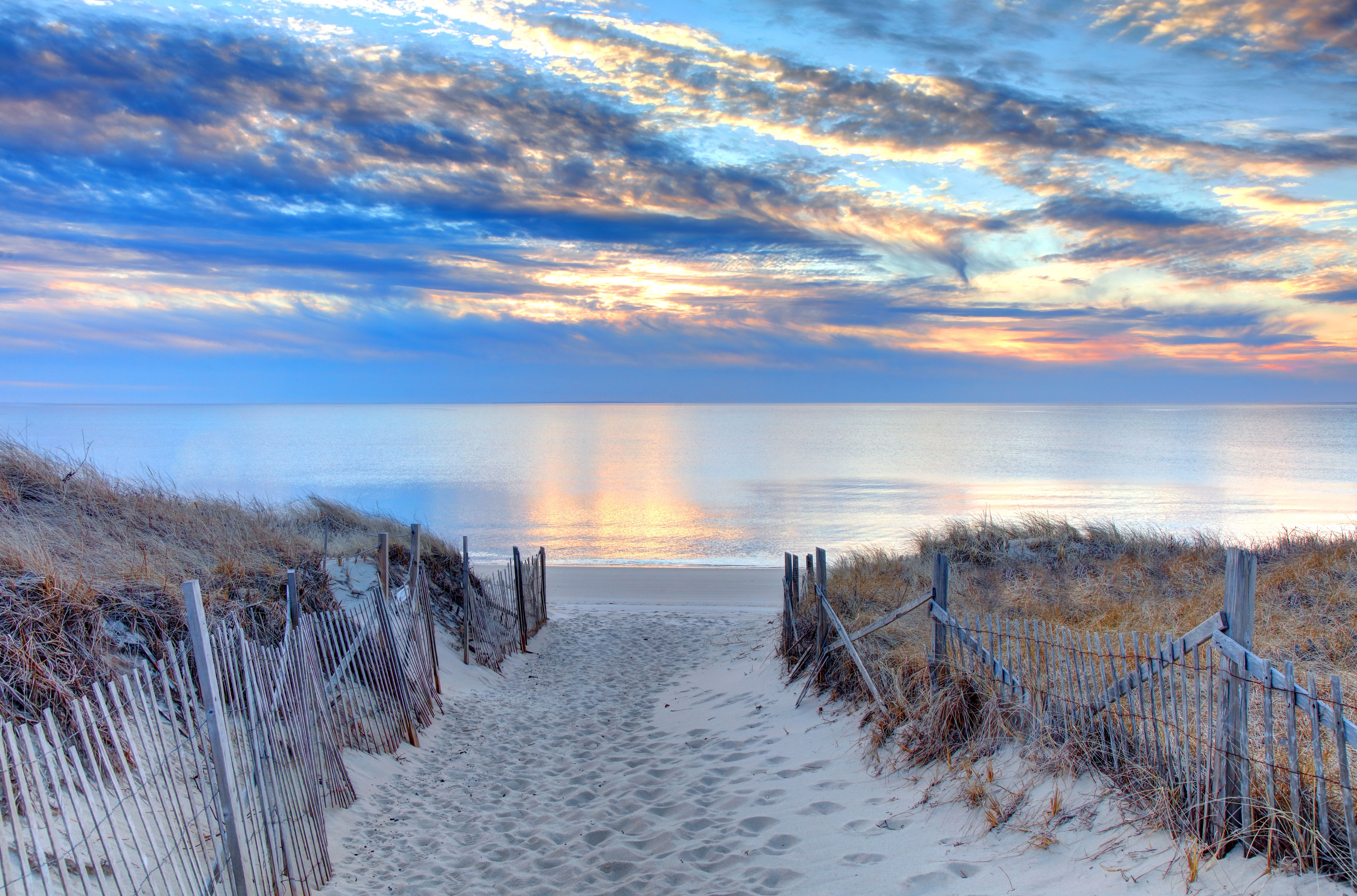 coastline beach
