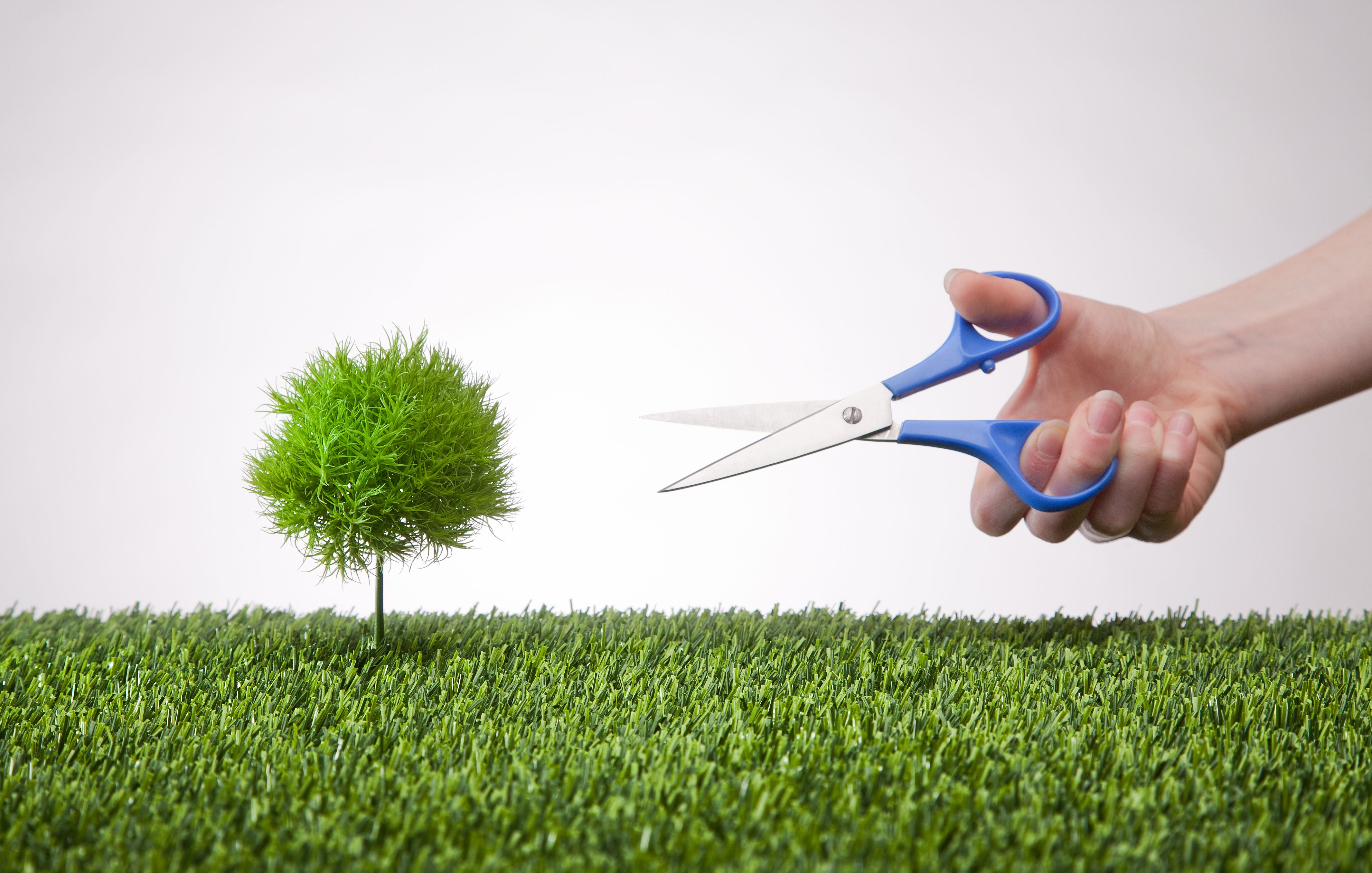 landscaping mistakes