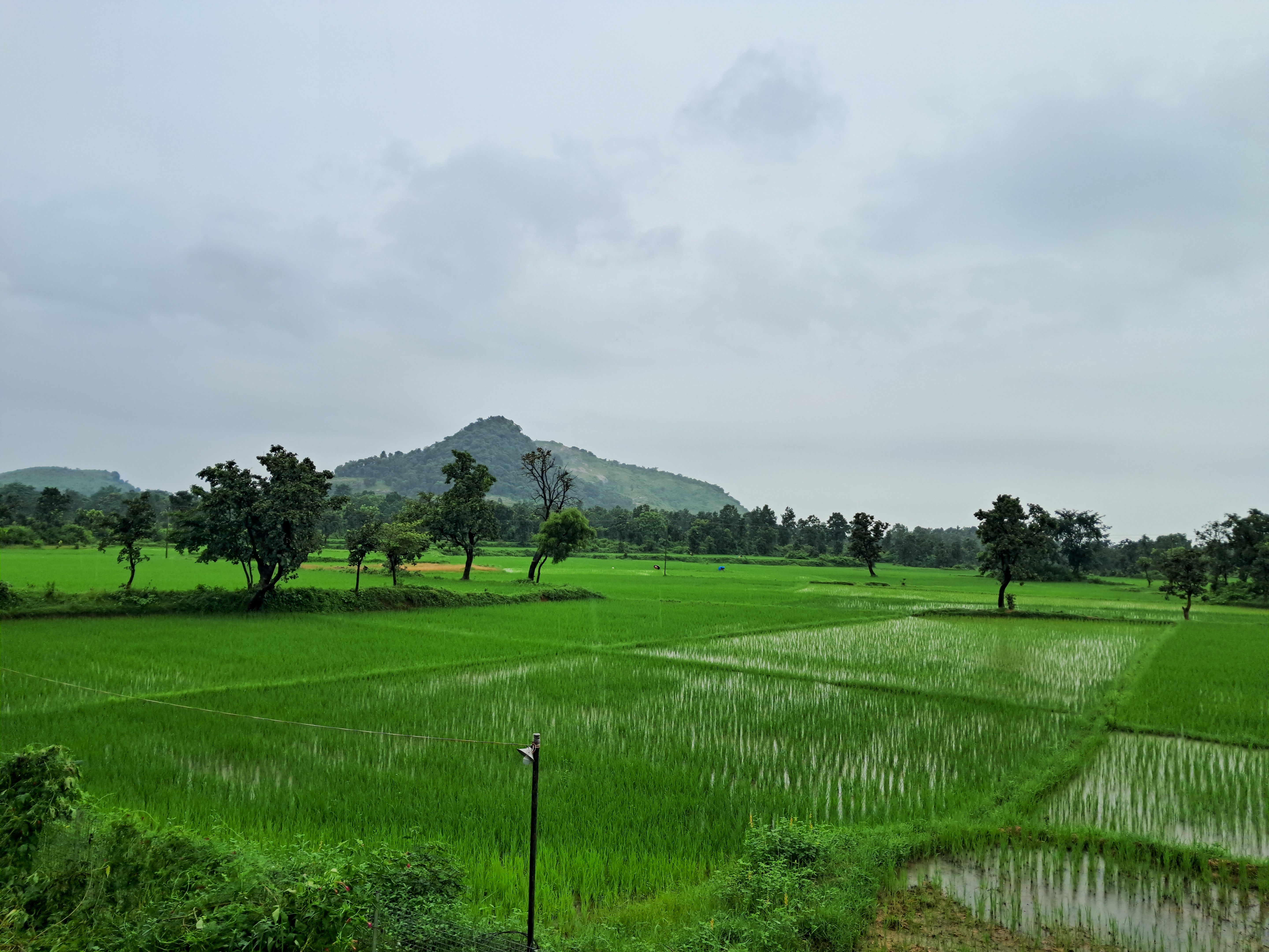post monsoon farming