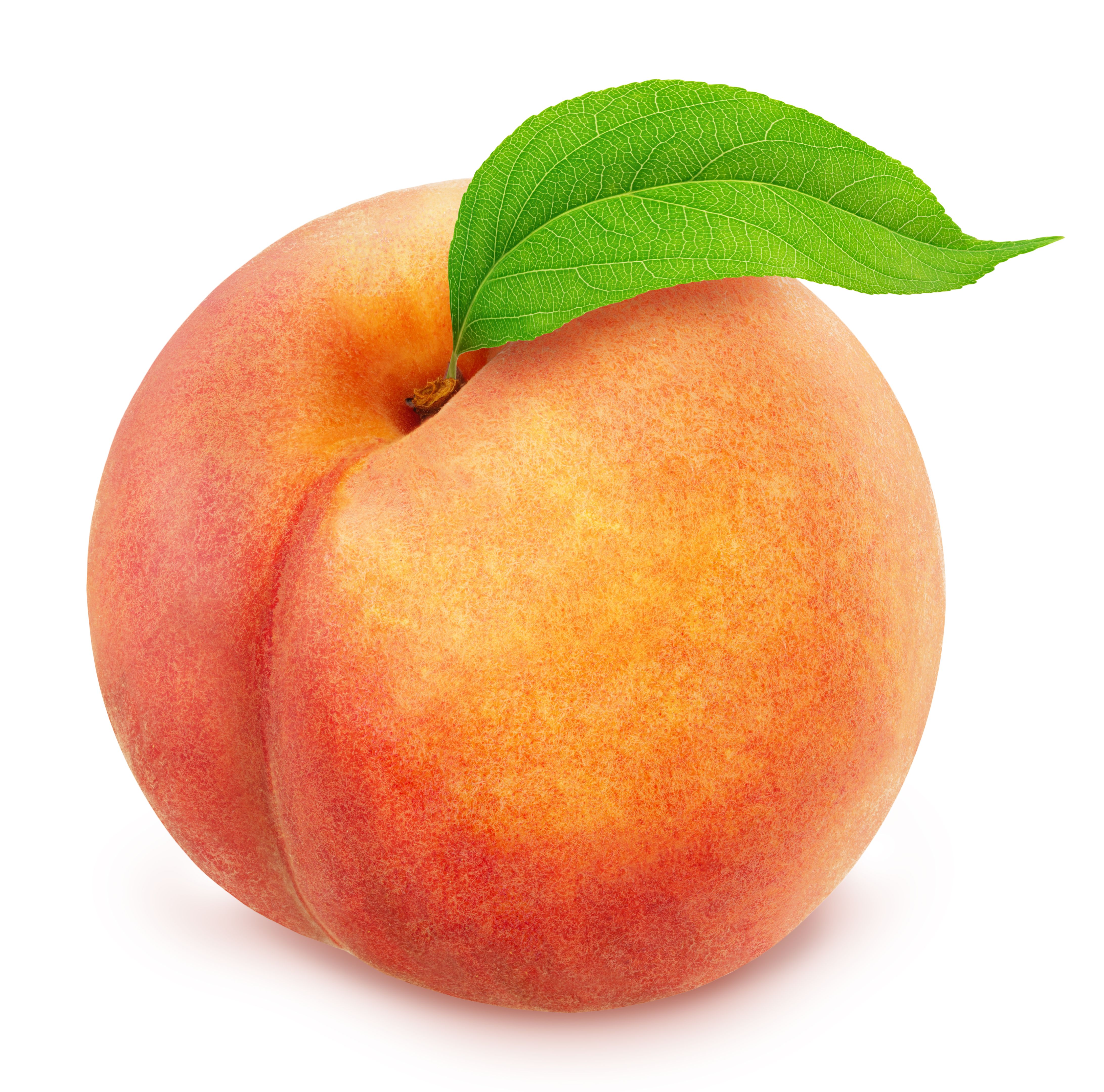 fresh peaches