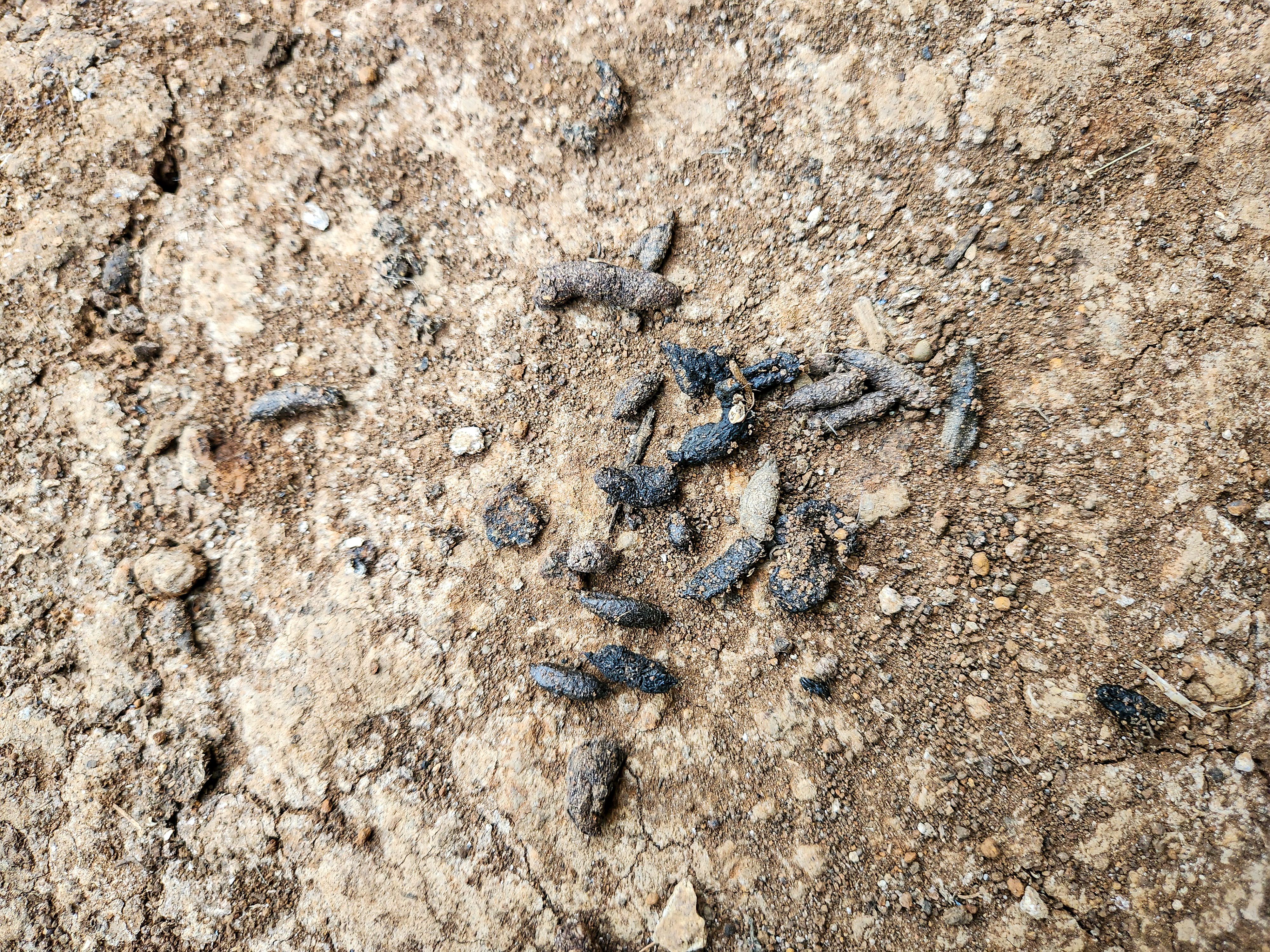 philadelphia kitchen