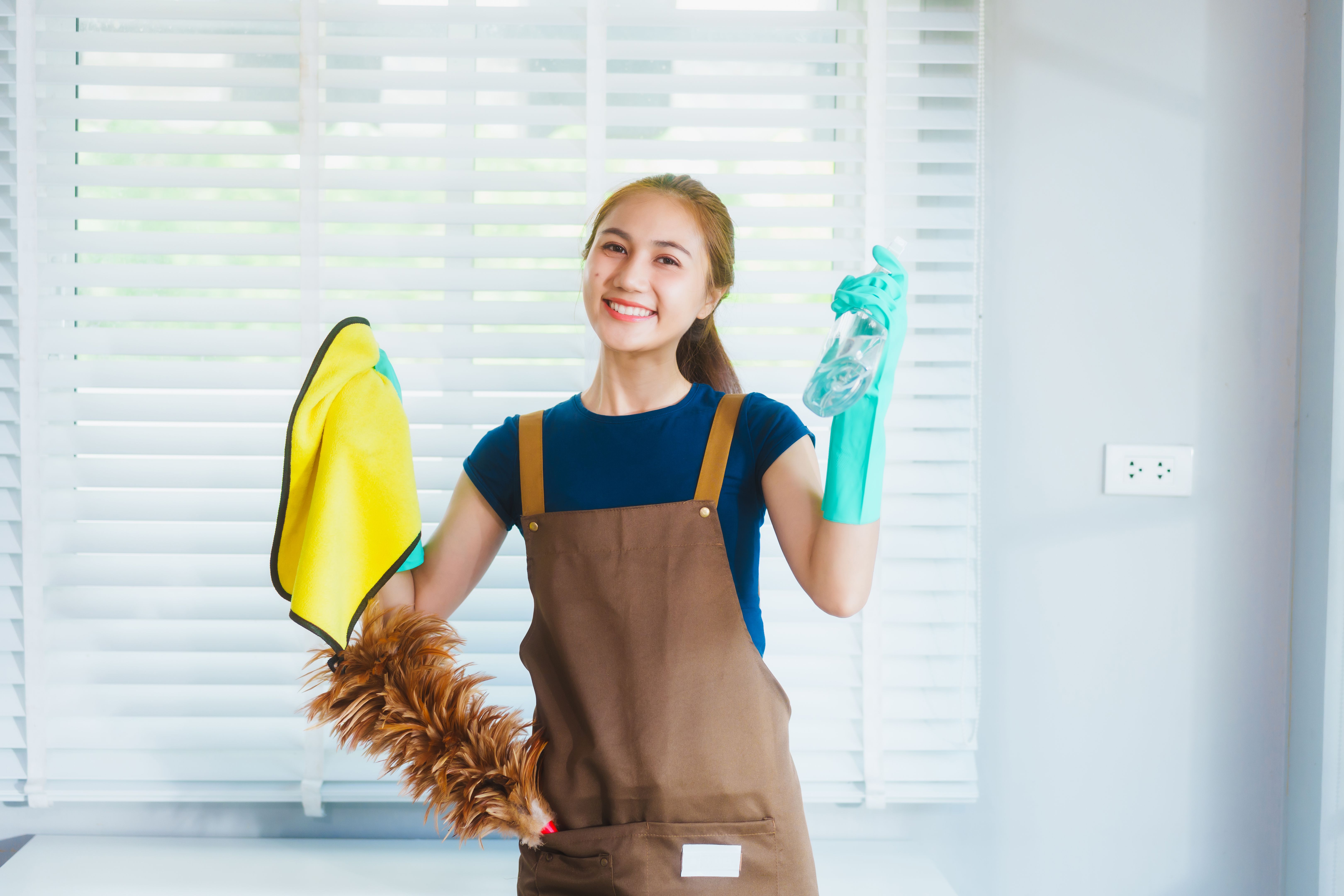professional cleaning service