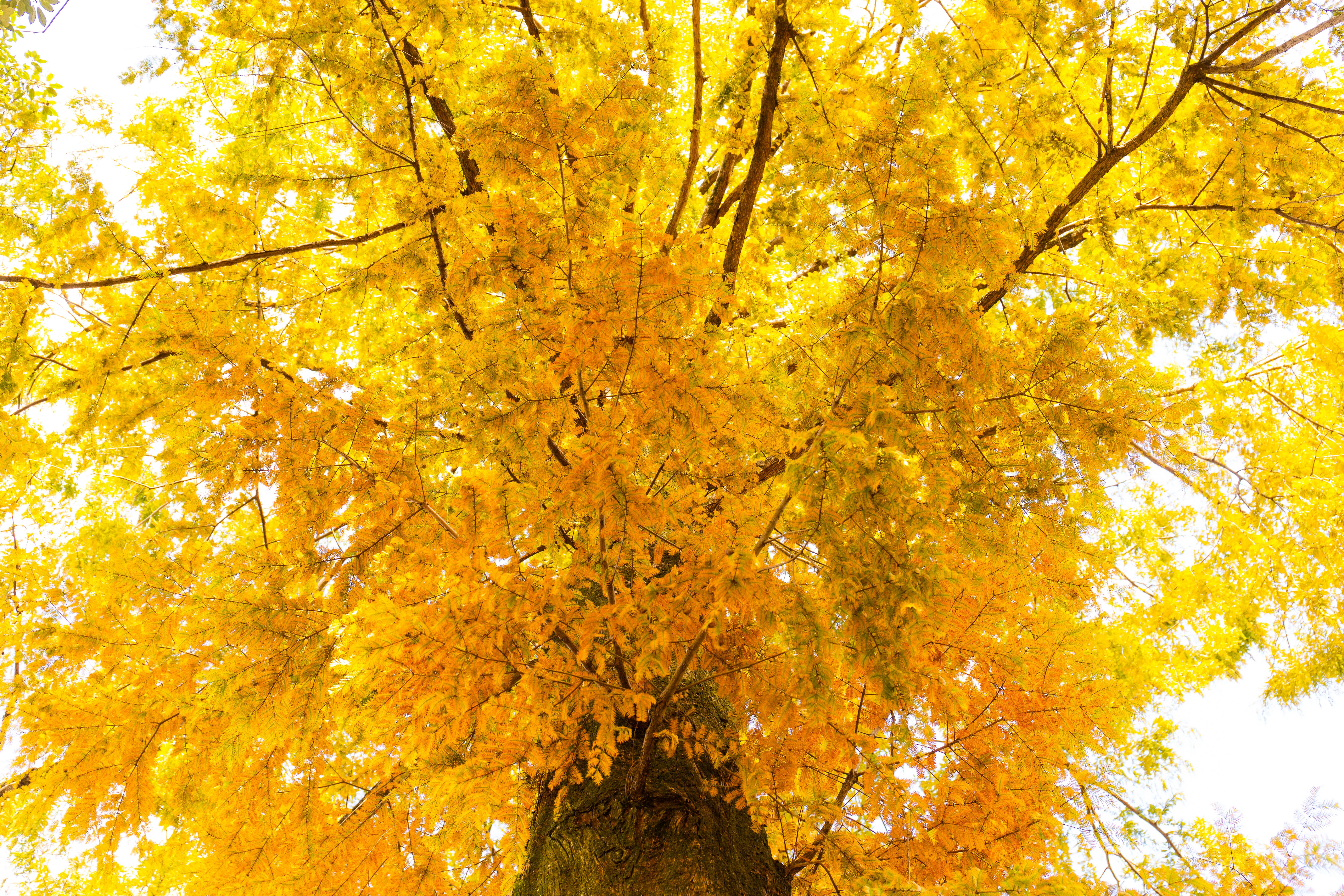 ajuste angulo painéis