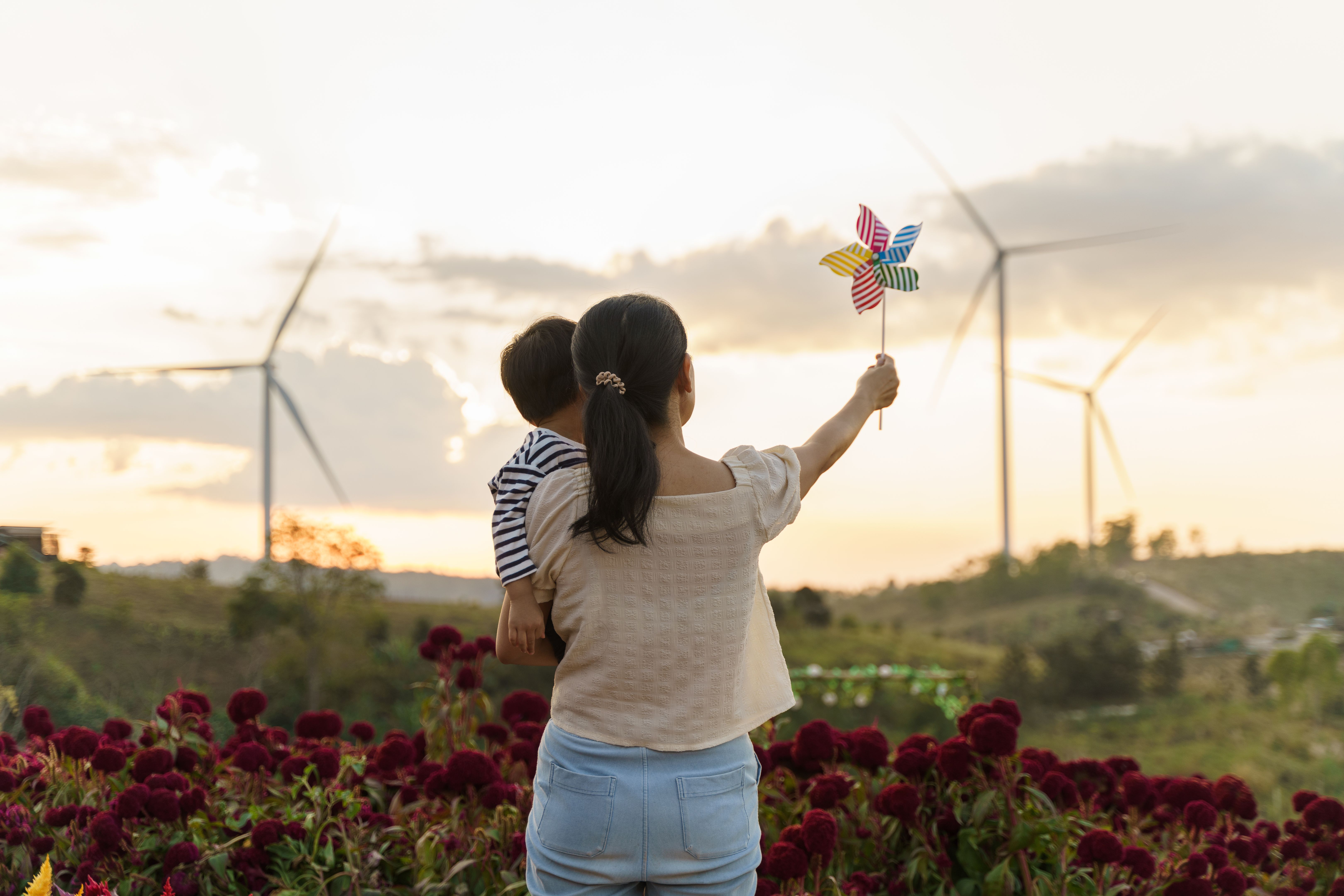 learning sustainability