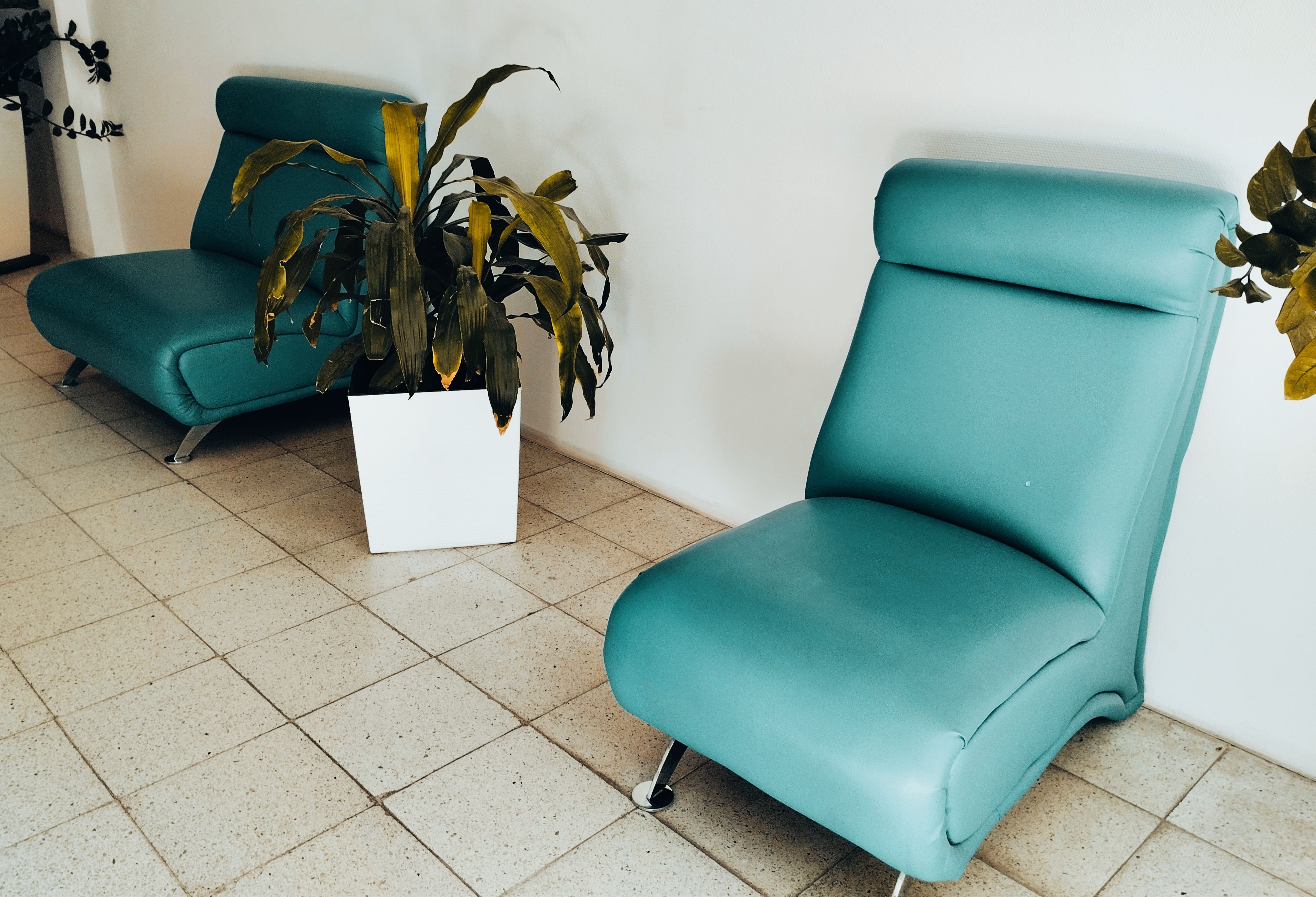 upholstery maintenance