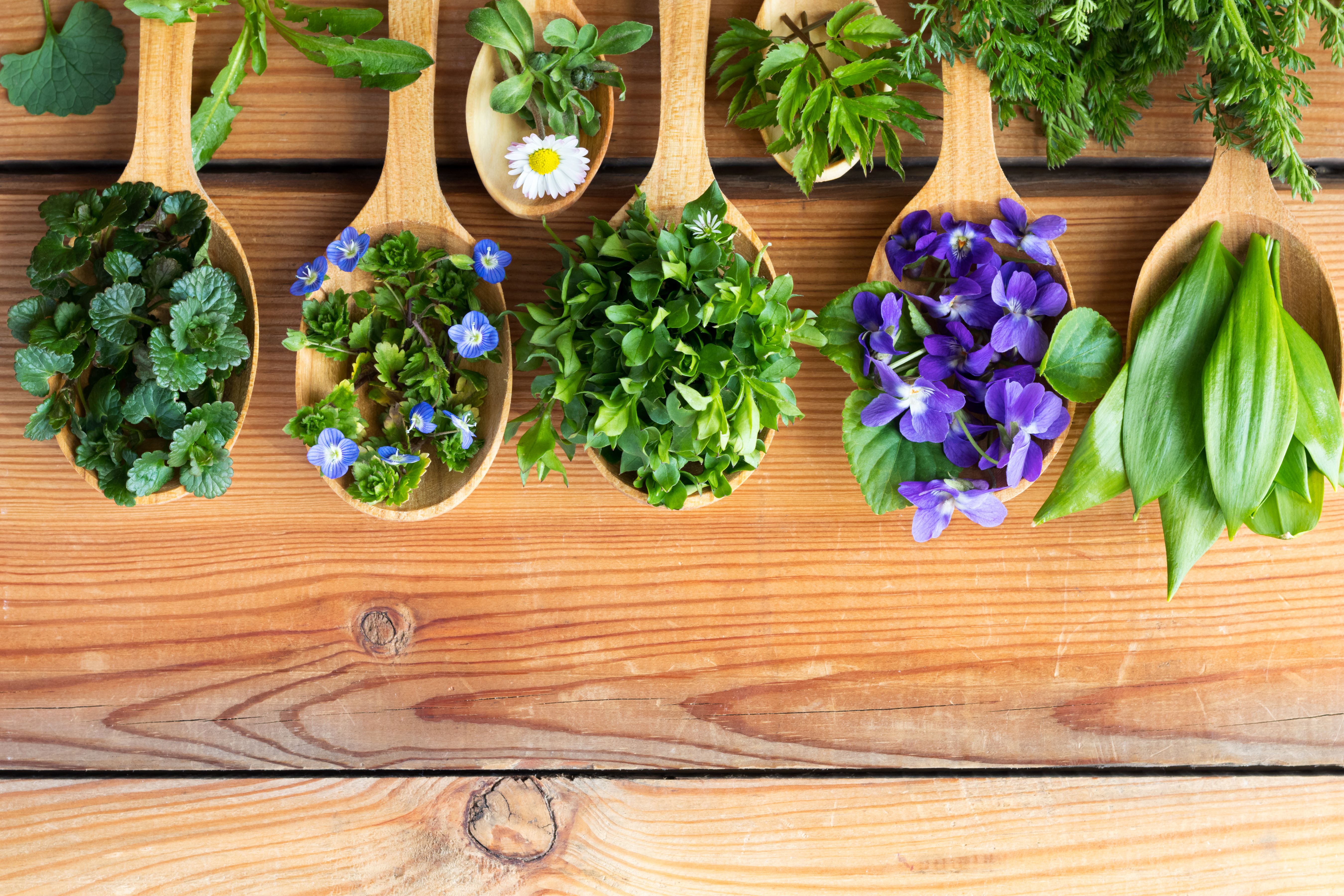 spring herbs