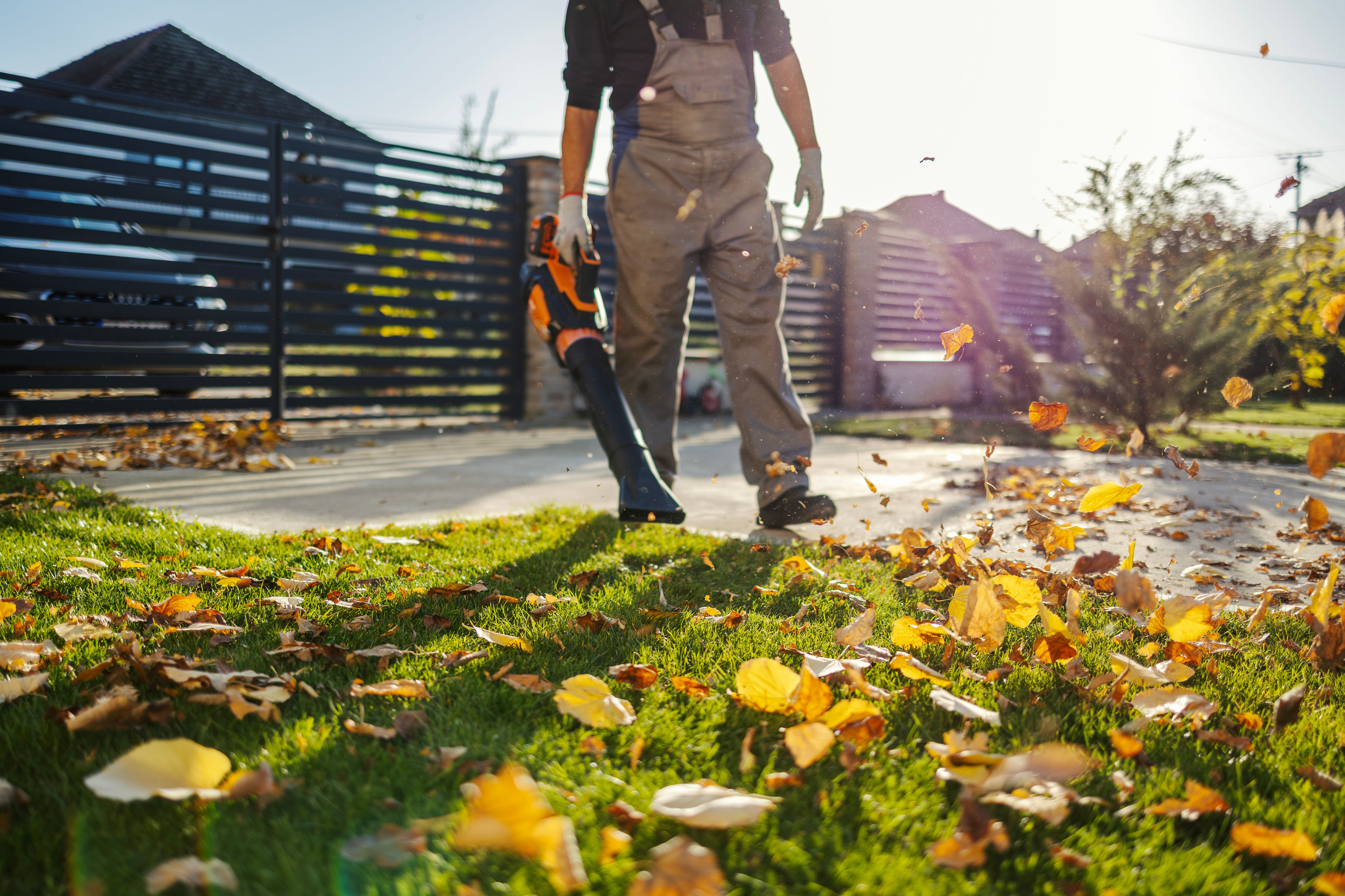 advanced lawn equipment