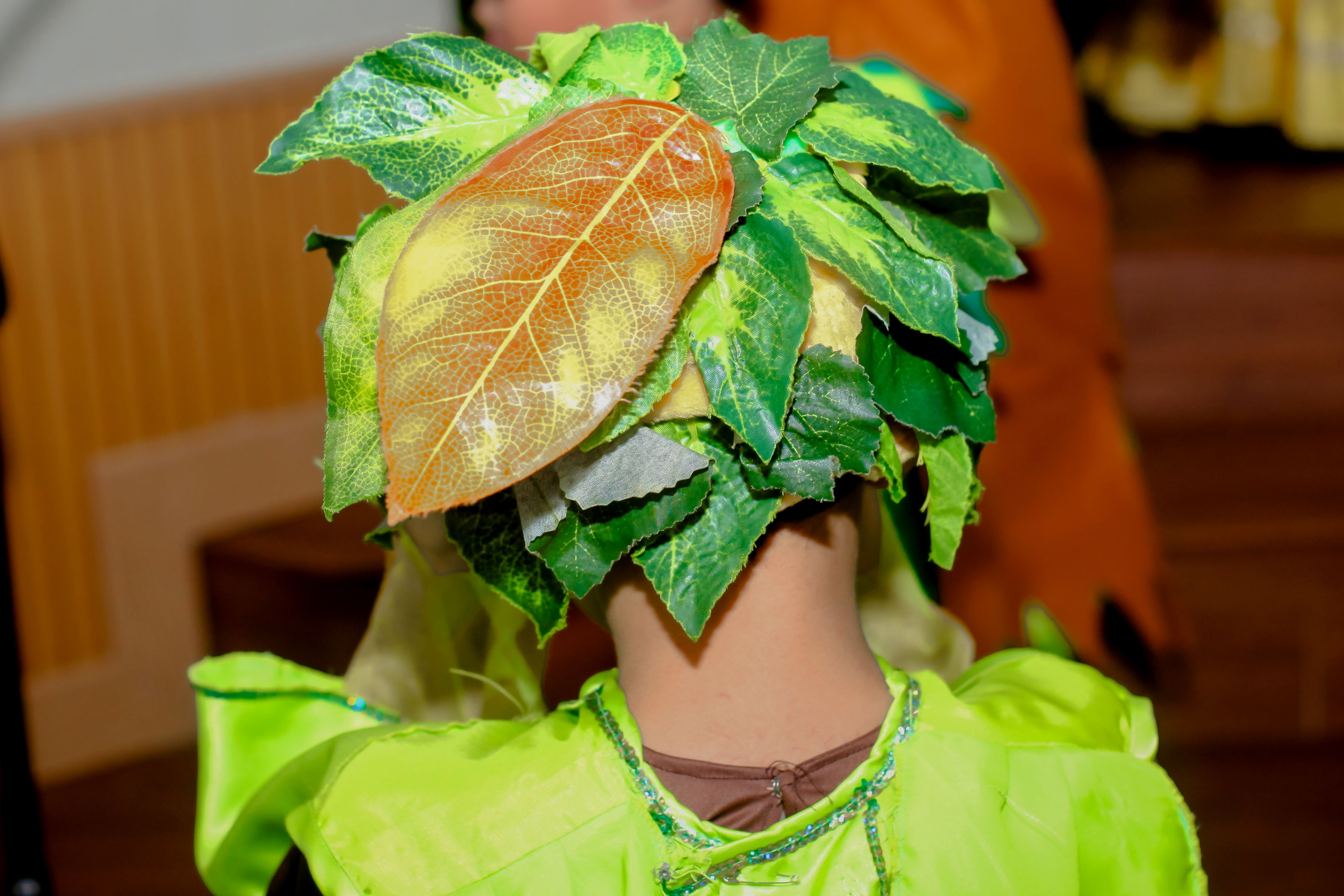 eco-friendly costumes