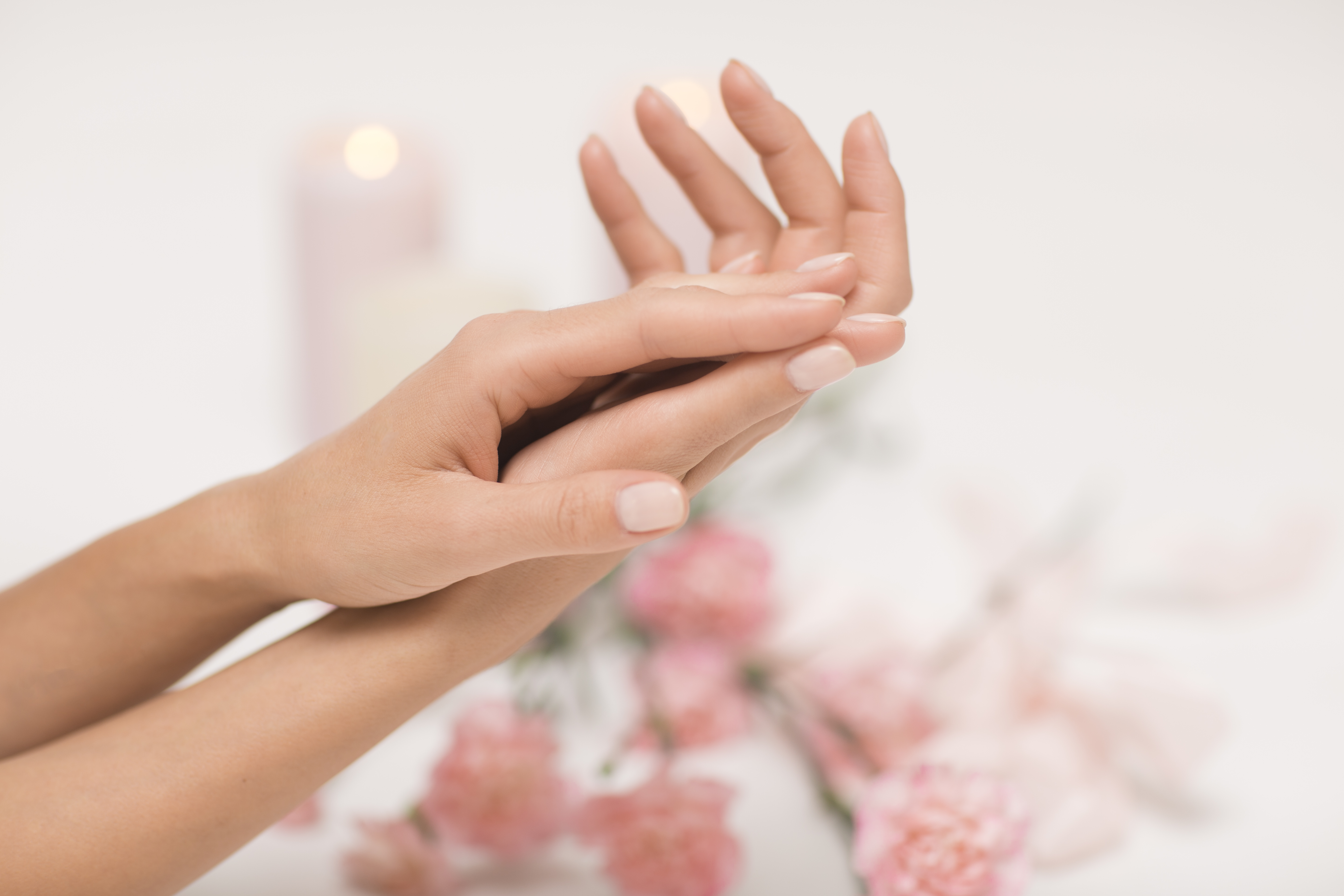 Manicure. Beautiful and delicate hands on white background with pink flowers.