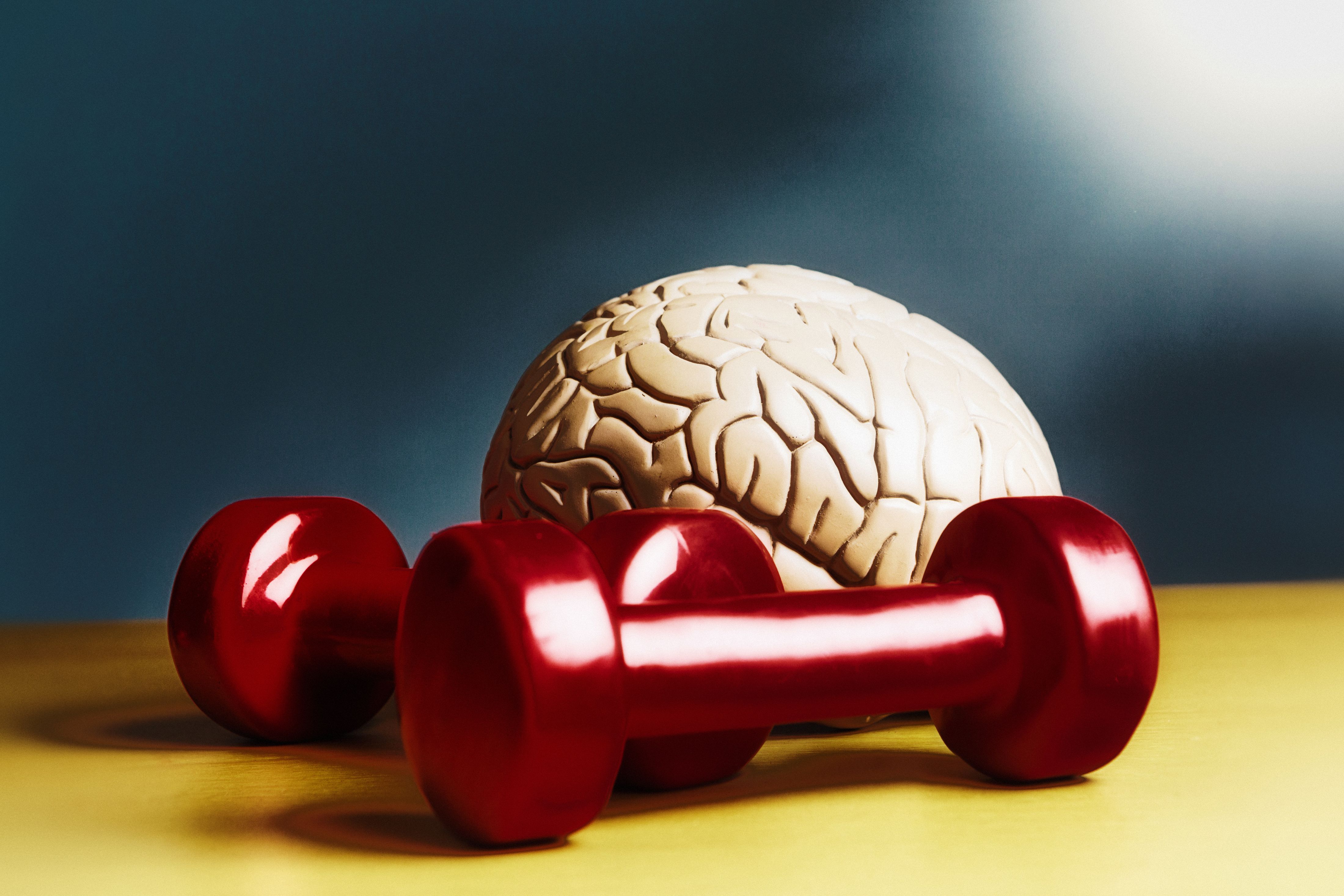 train your brain at halifax hypnotherapy clinic train your brain at halifax hypnotherapy clinic