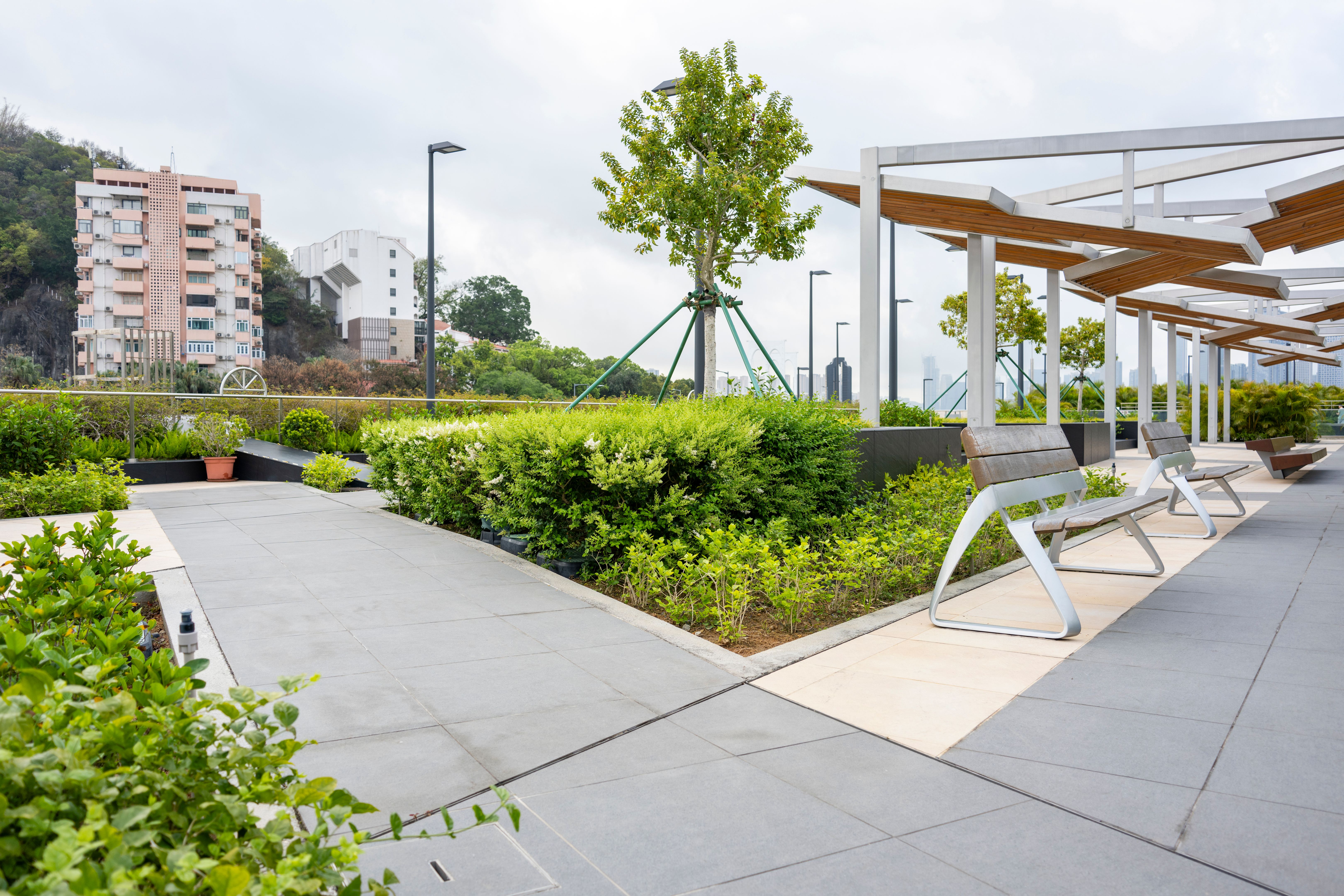 commercial landscaping