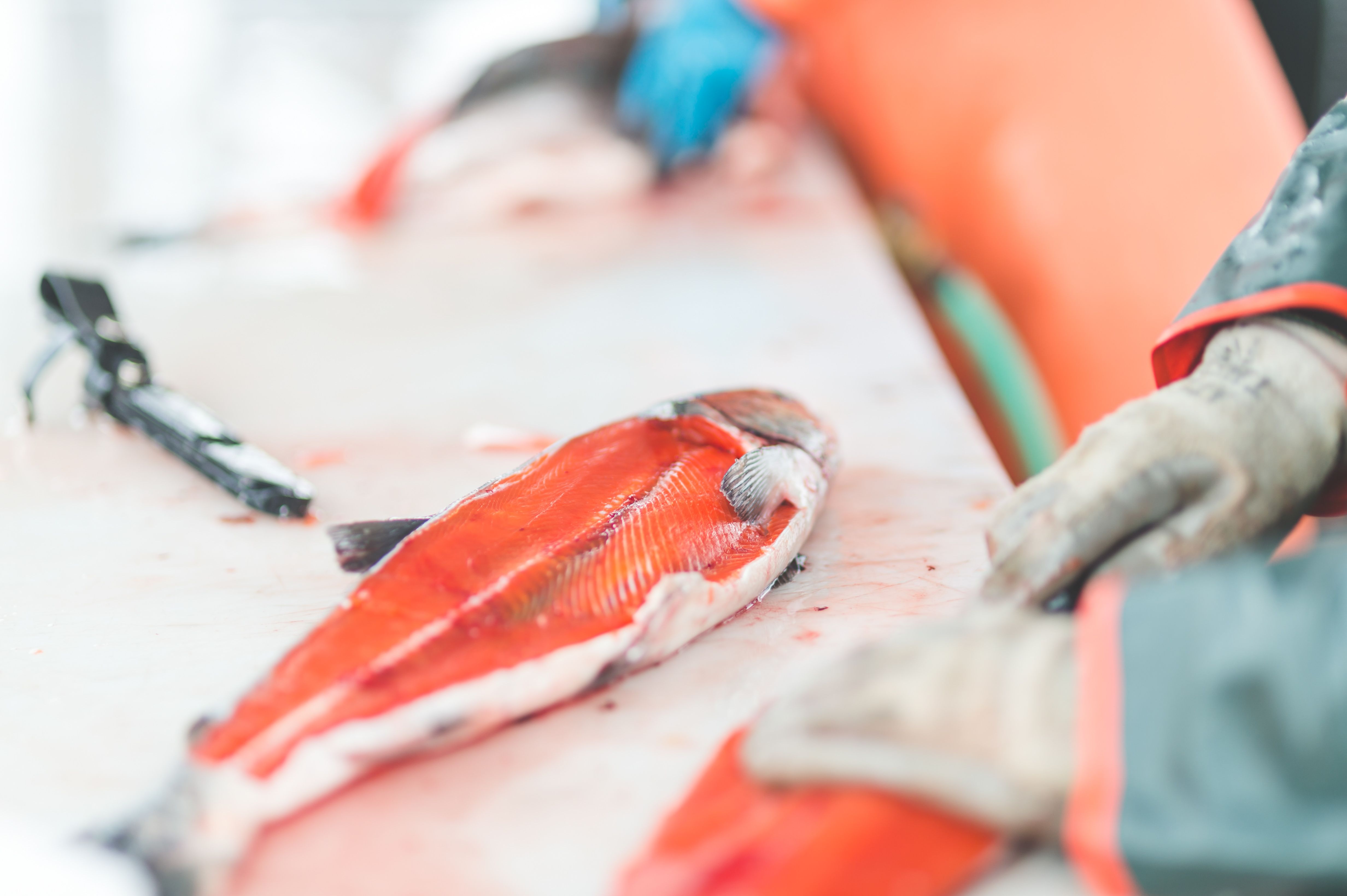 fishmonger safety