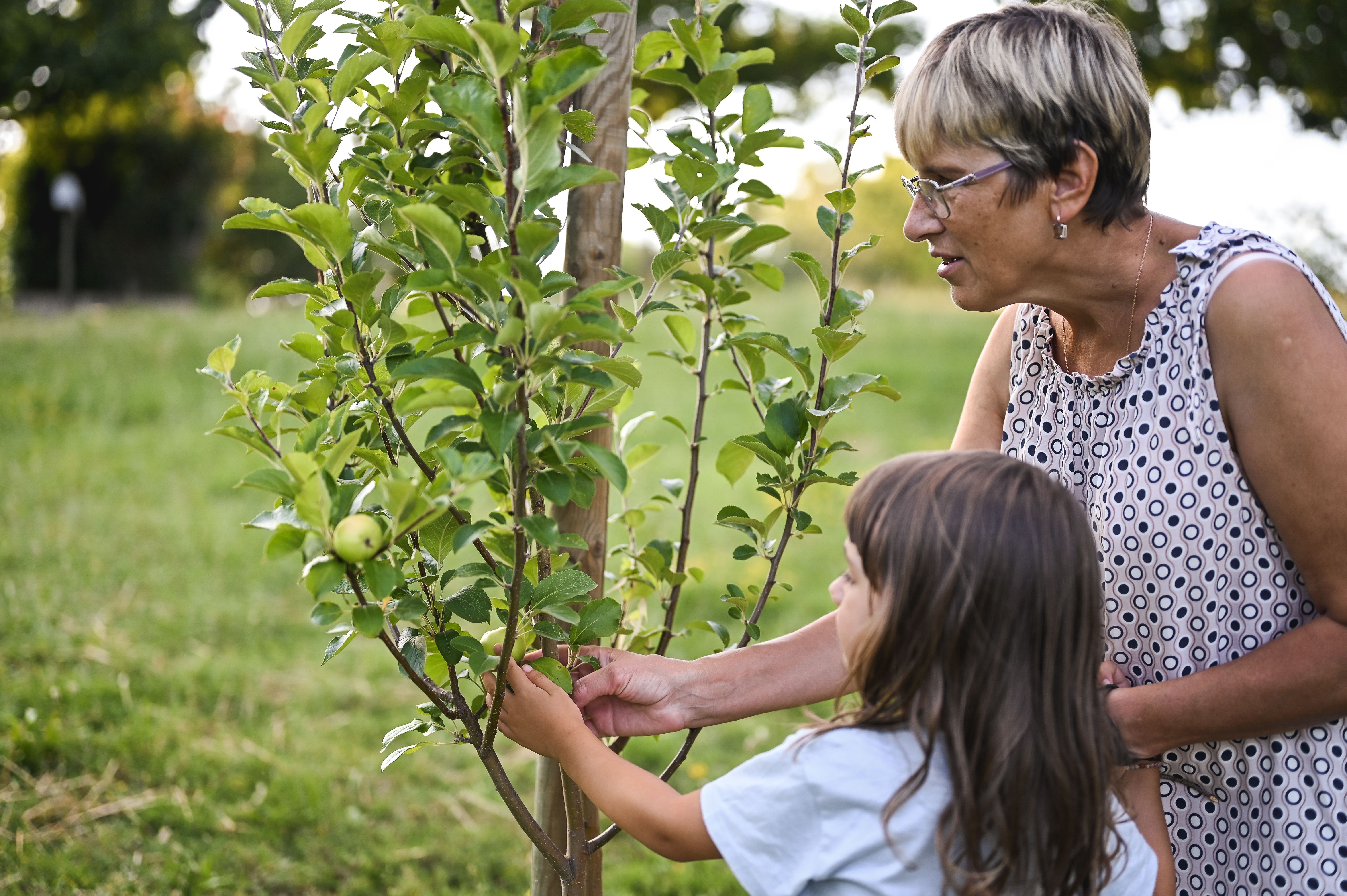 apple picking family