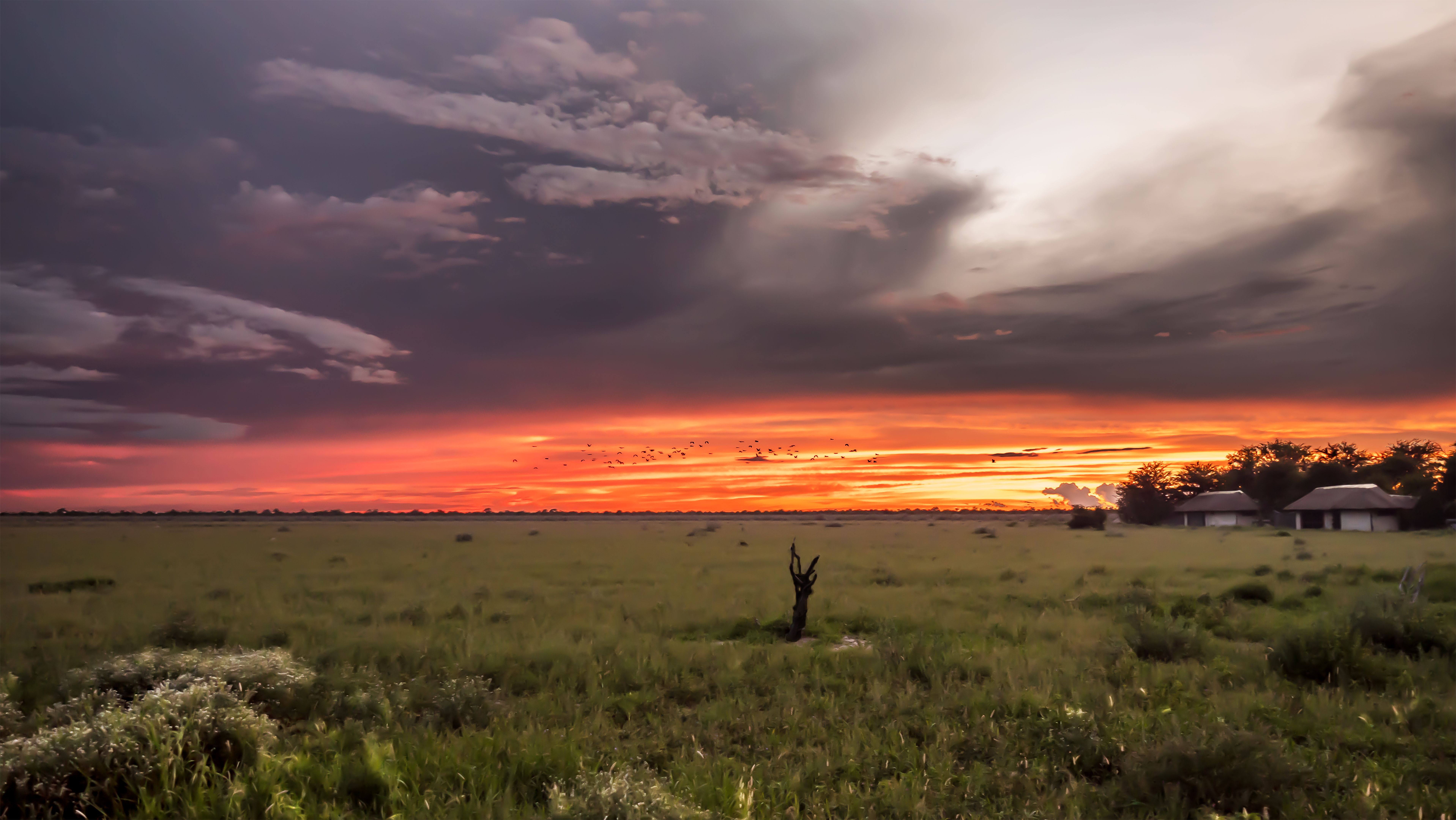 rainy season landscape