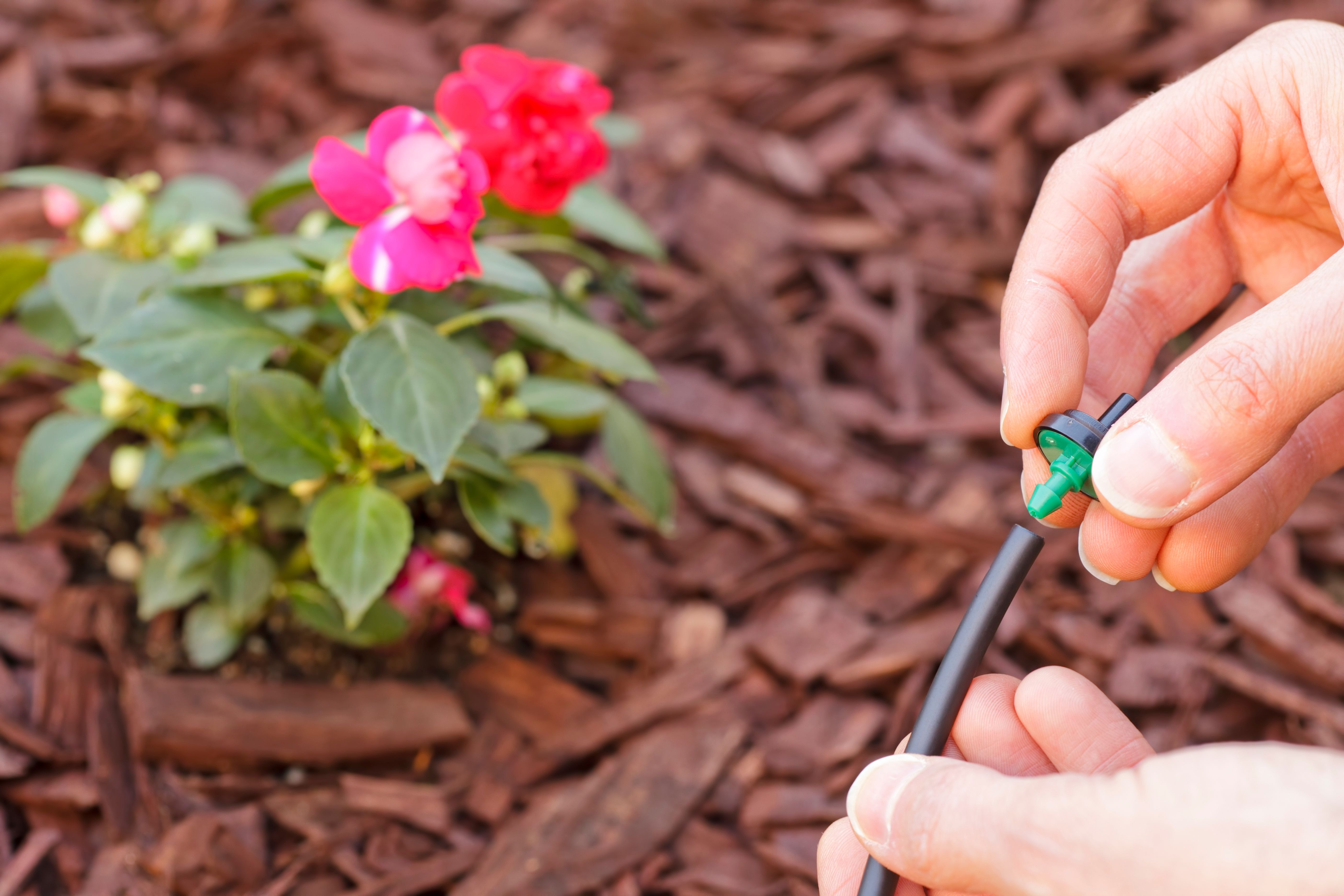 drip irrigation system