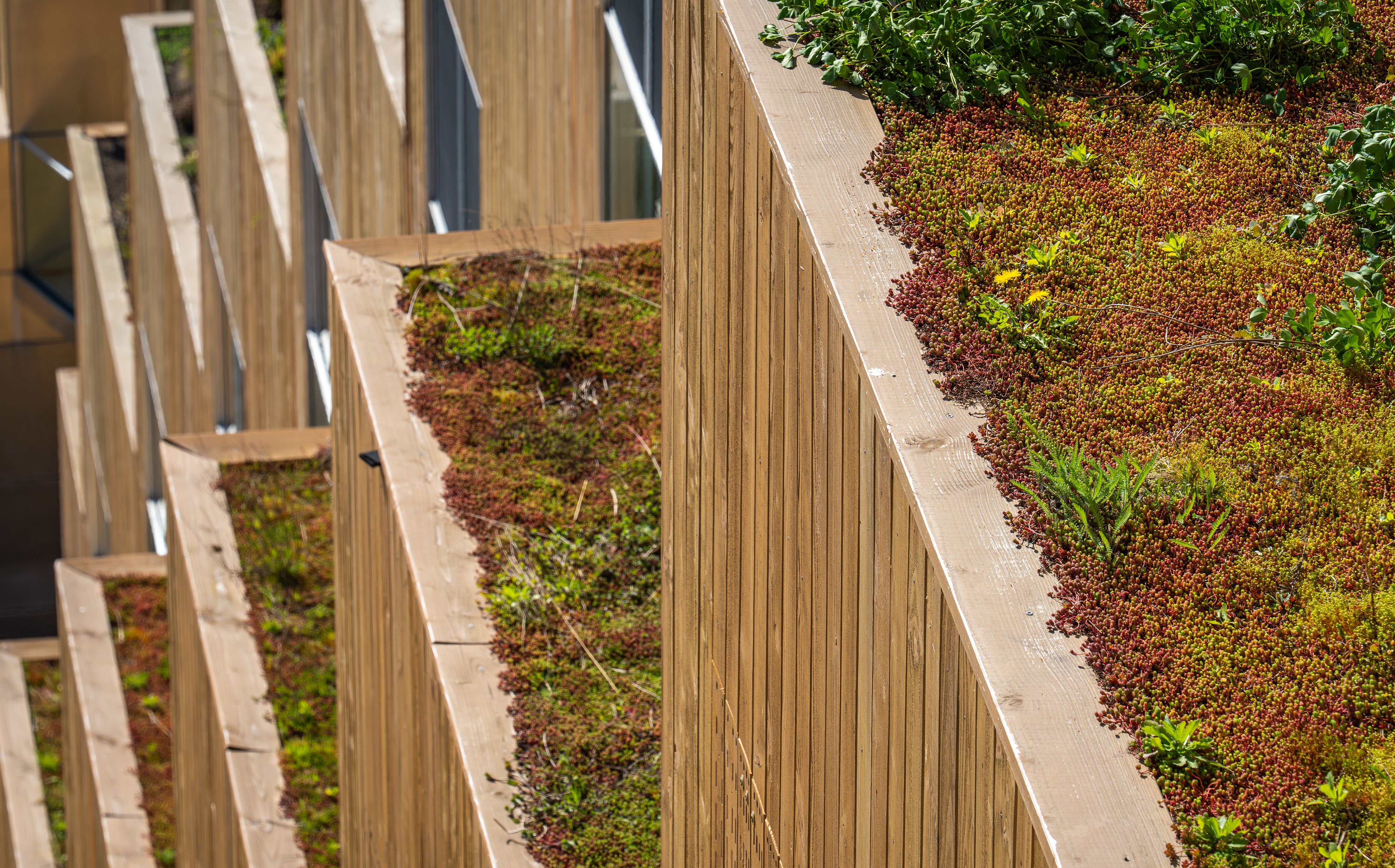 sustainable apartment design