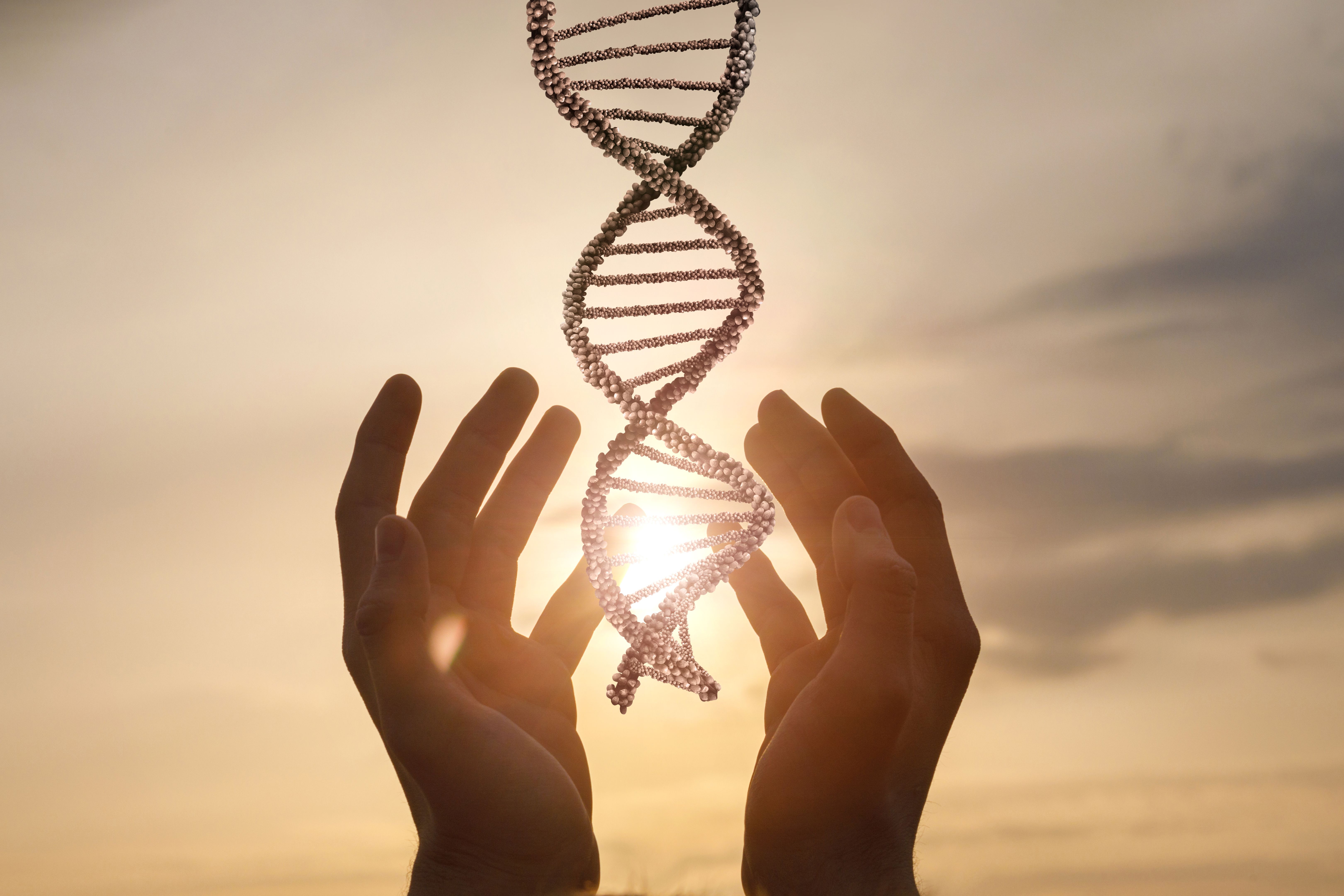 Hands holding DNA strand against sunset sky.