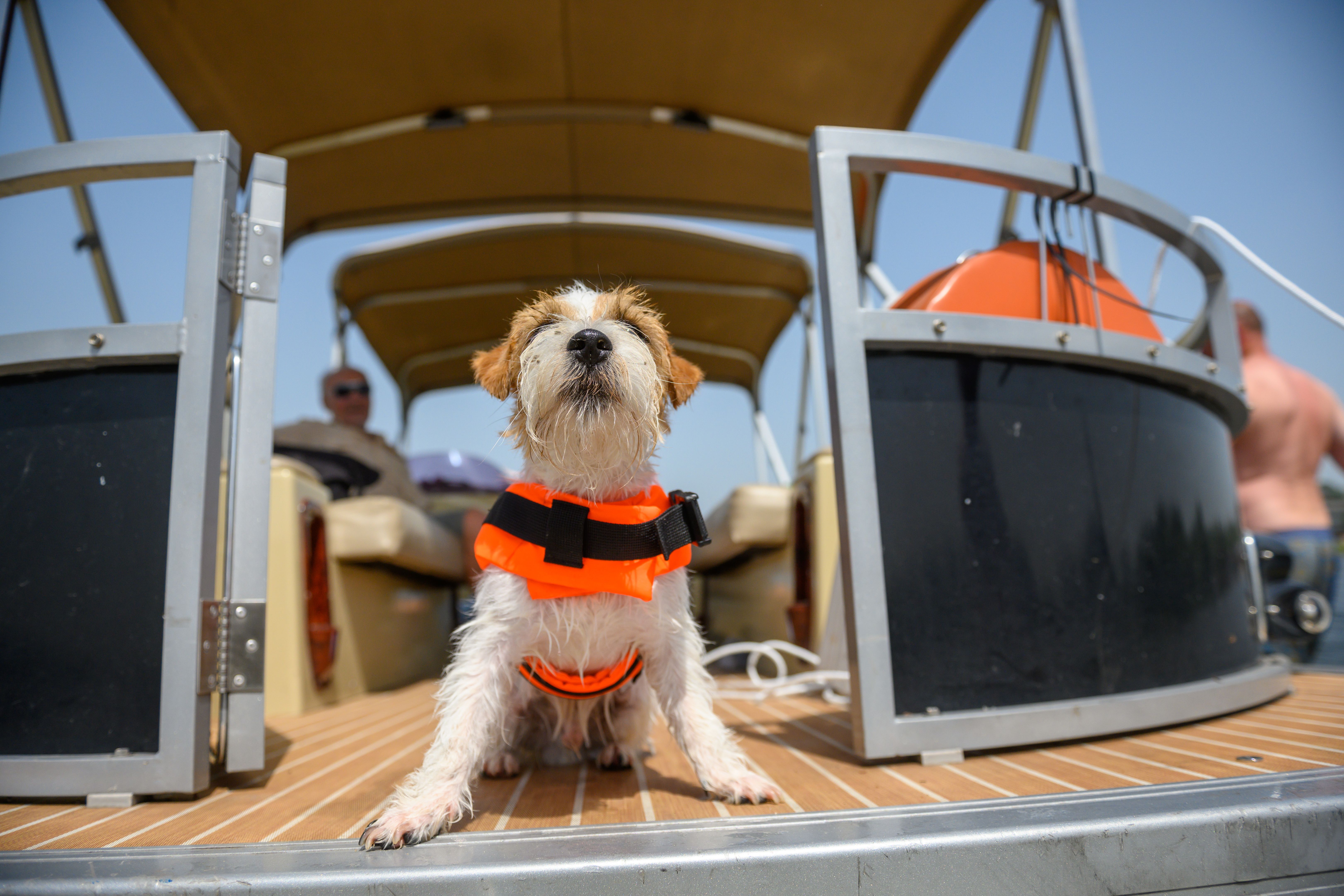 yacht safety equipment