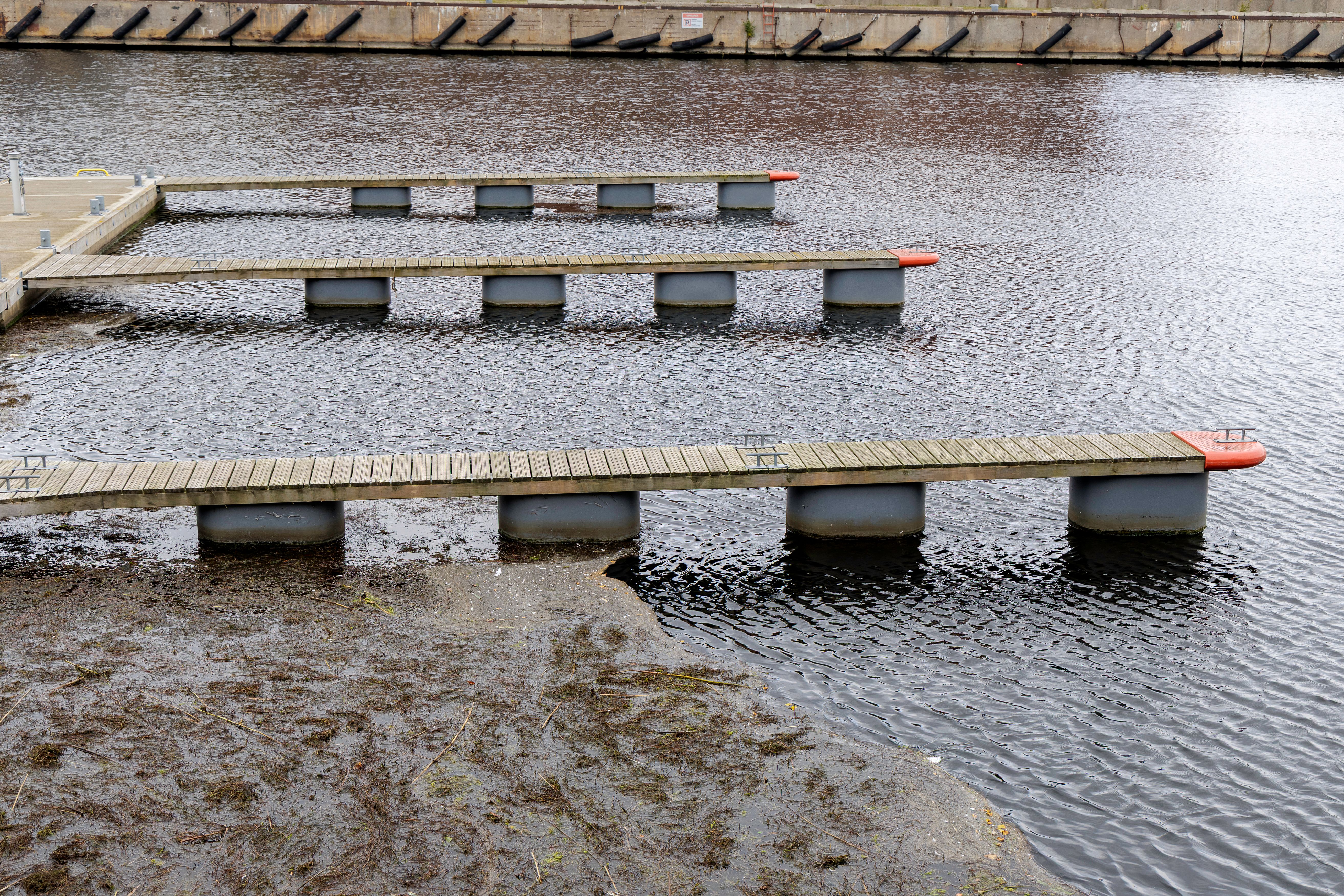 dock design engineering