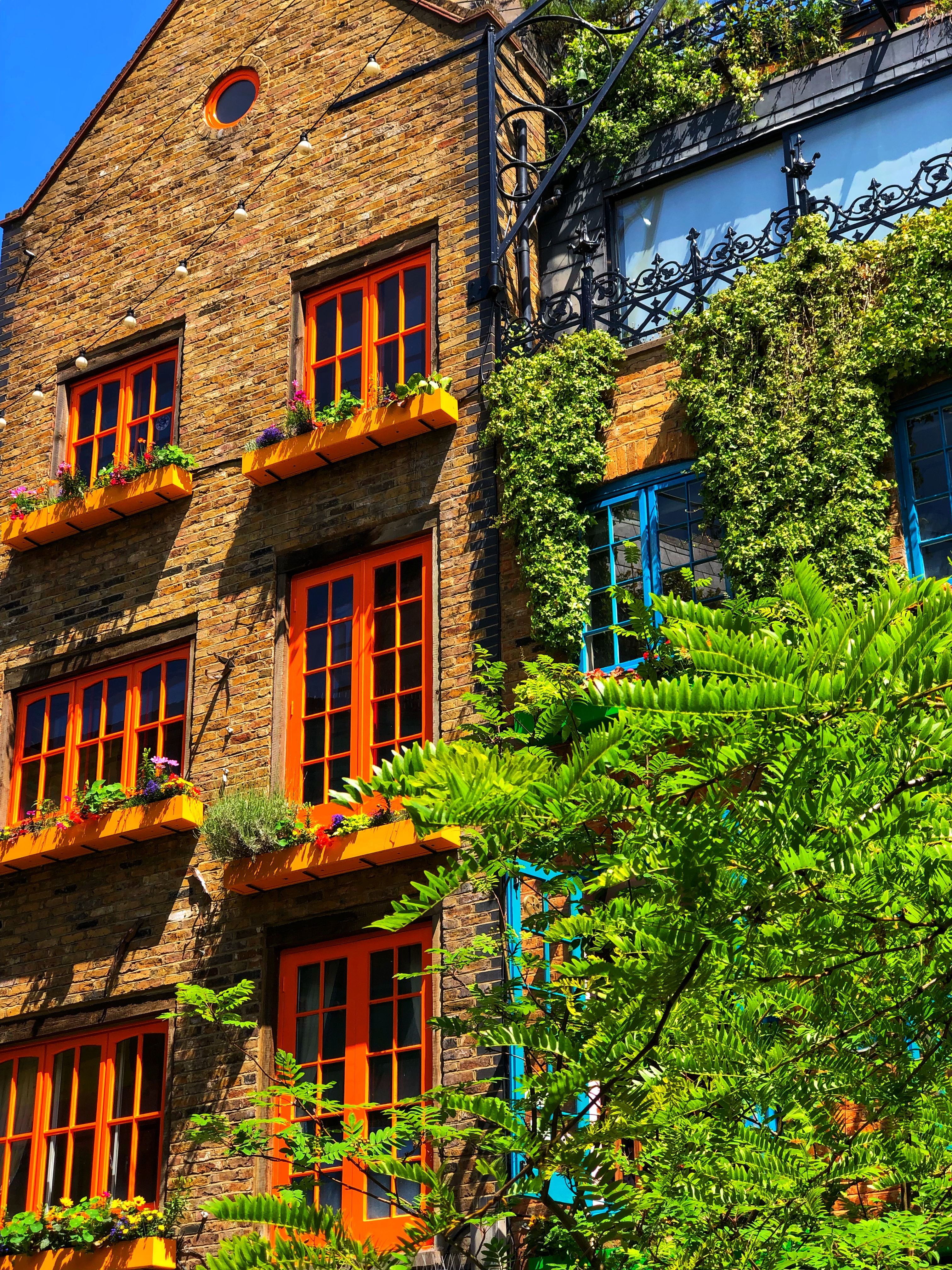neals yard london