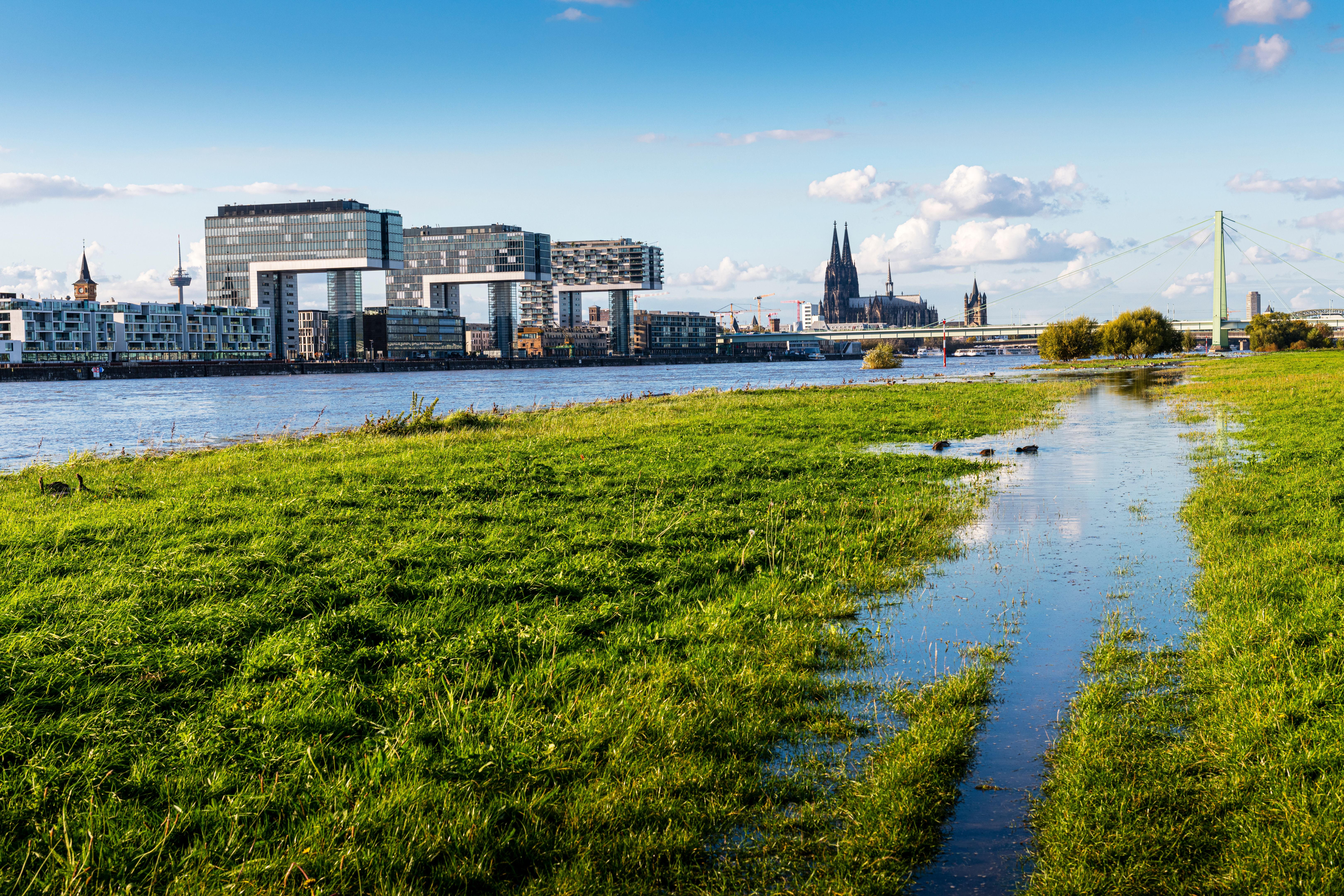 cologne architecture