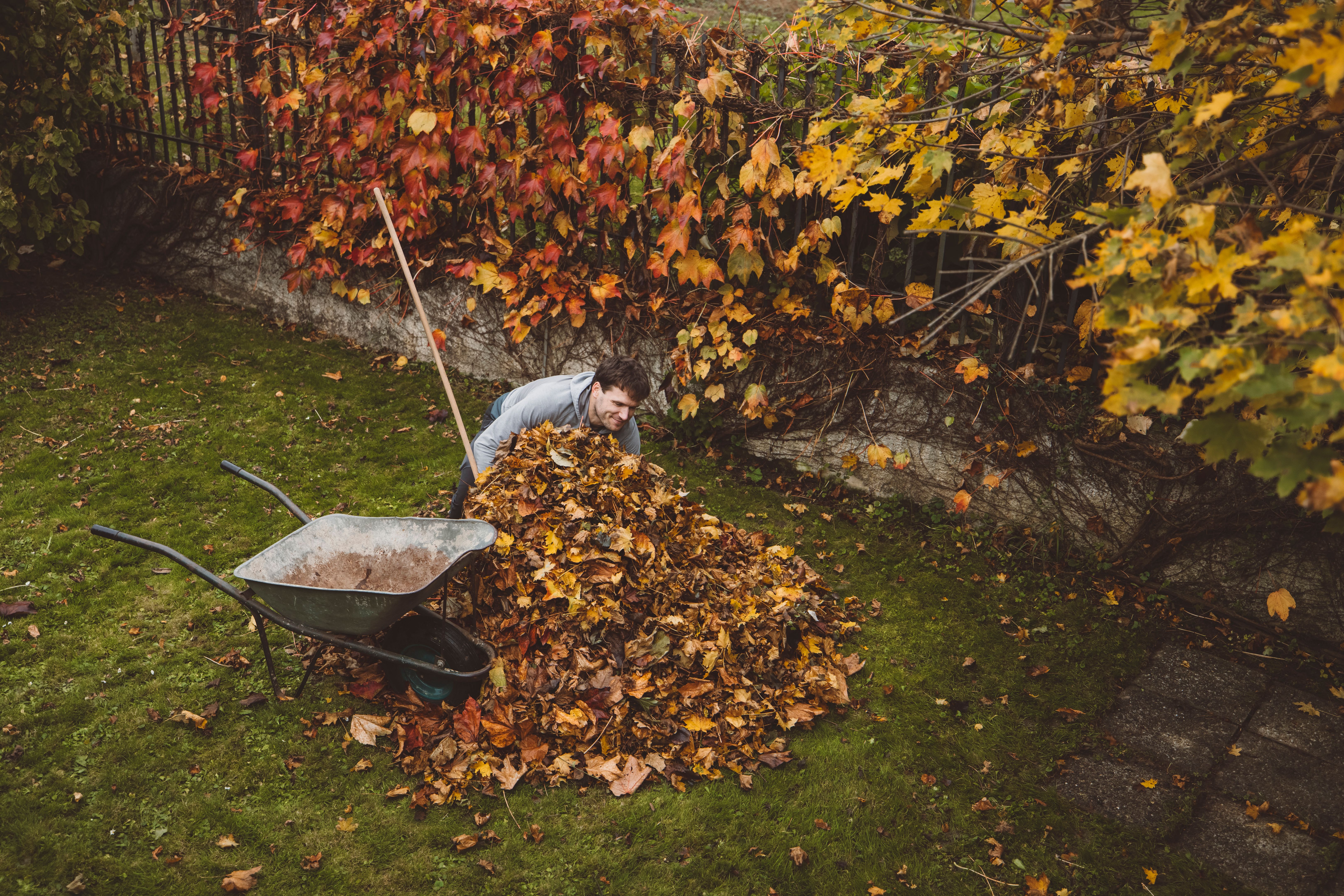 autumn maintenance