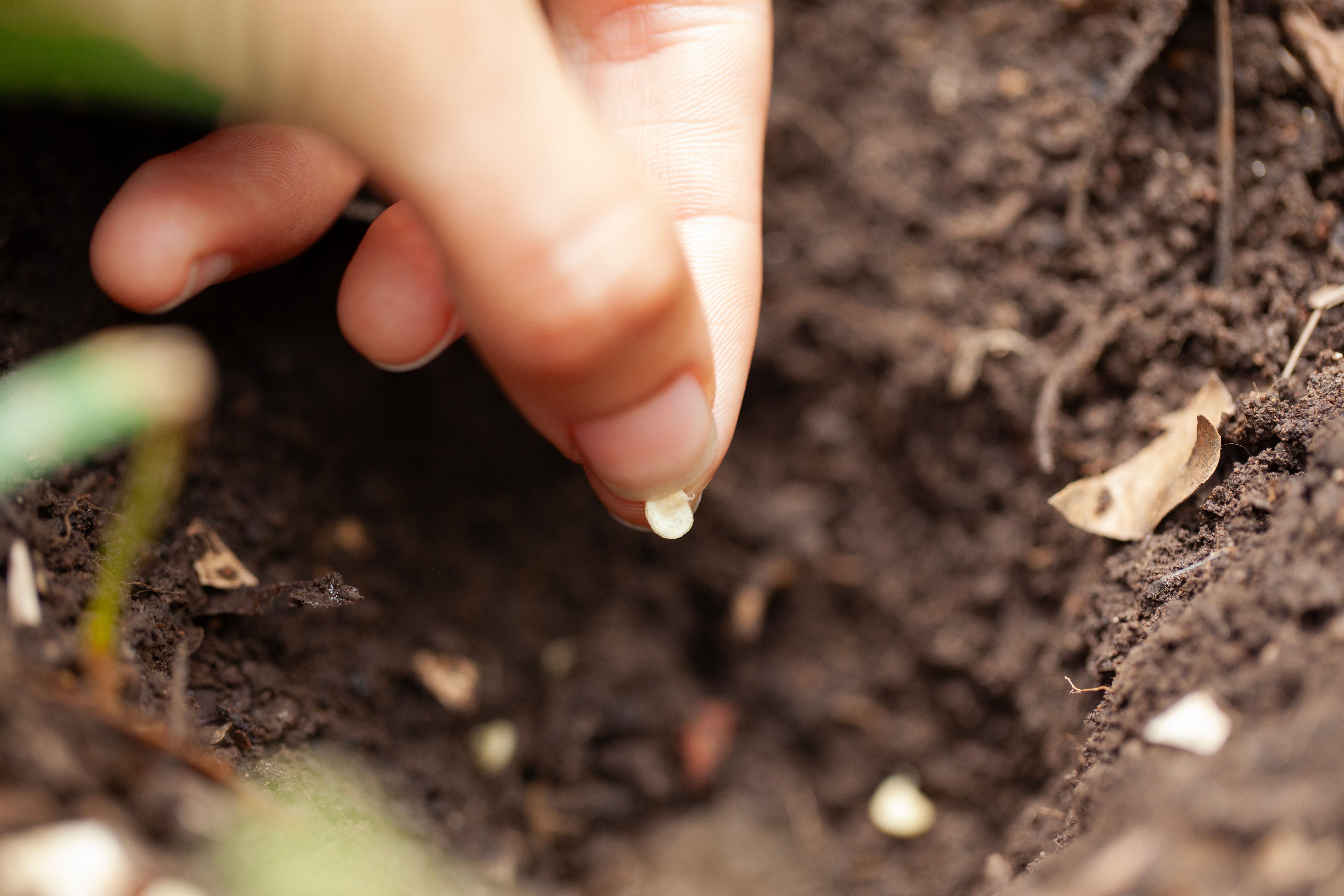 farmer seeds