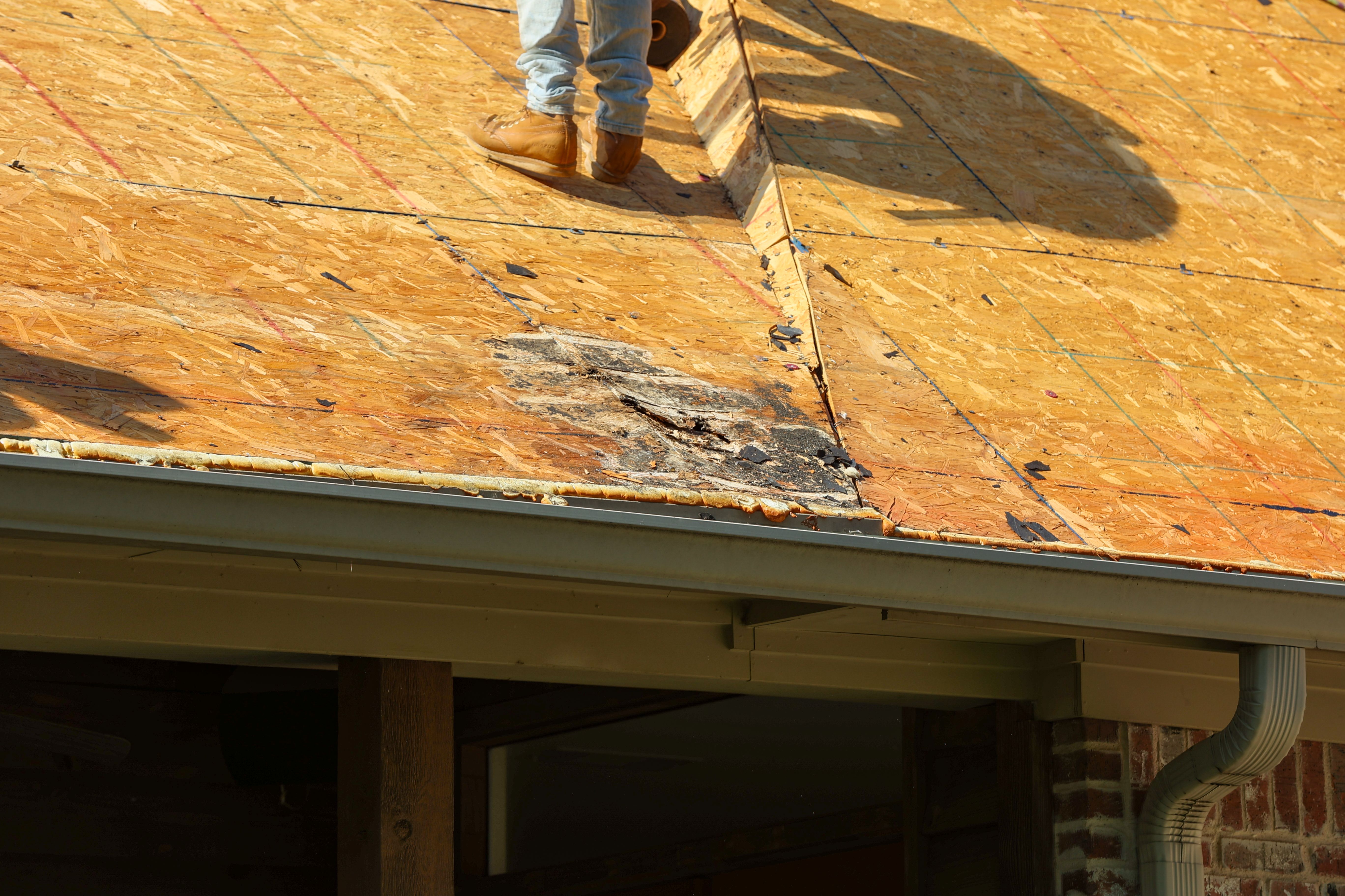 Rotten Roof deck boards in need of replacement Rotten Roof deck boards in need of replacement