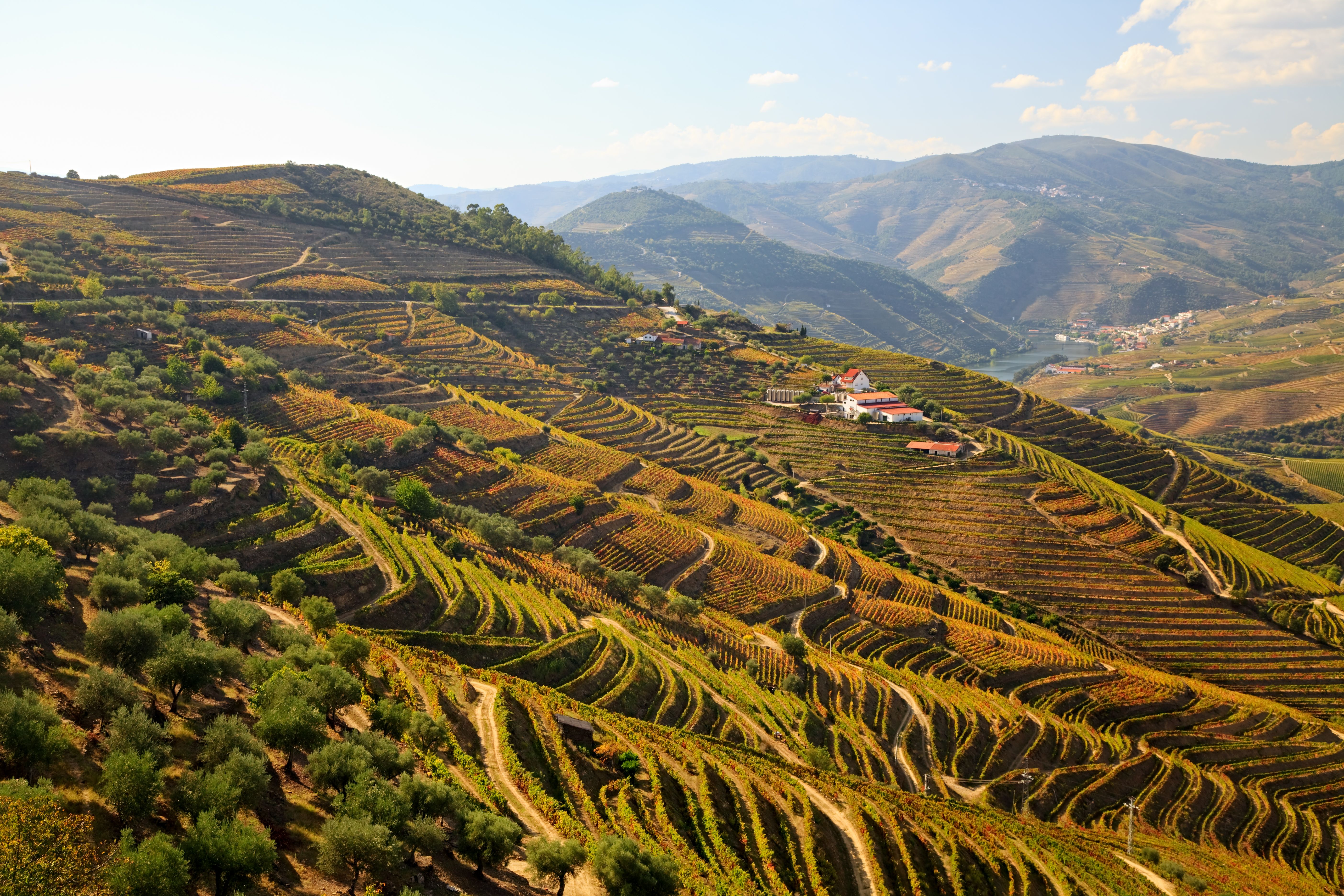 douro valley autumn