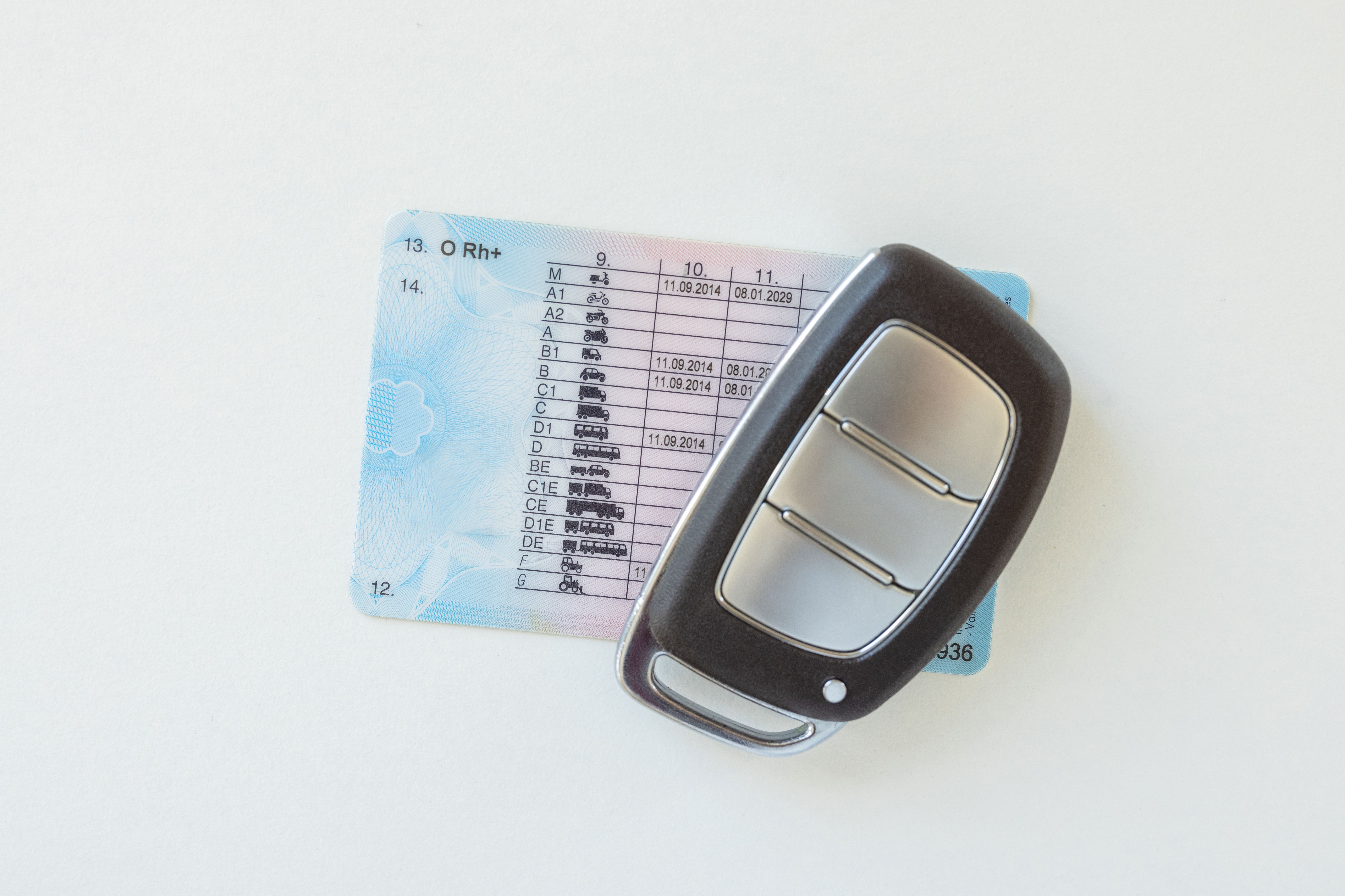 license insurance