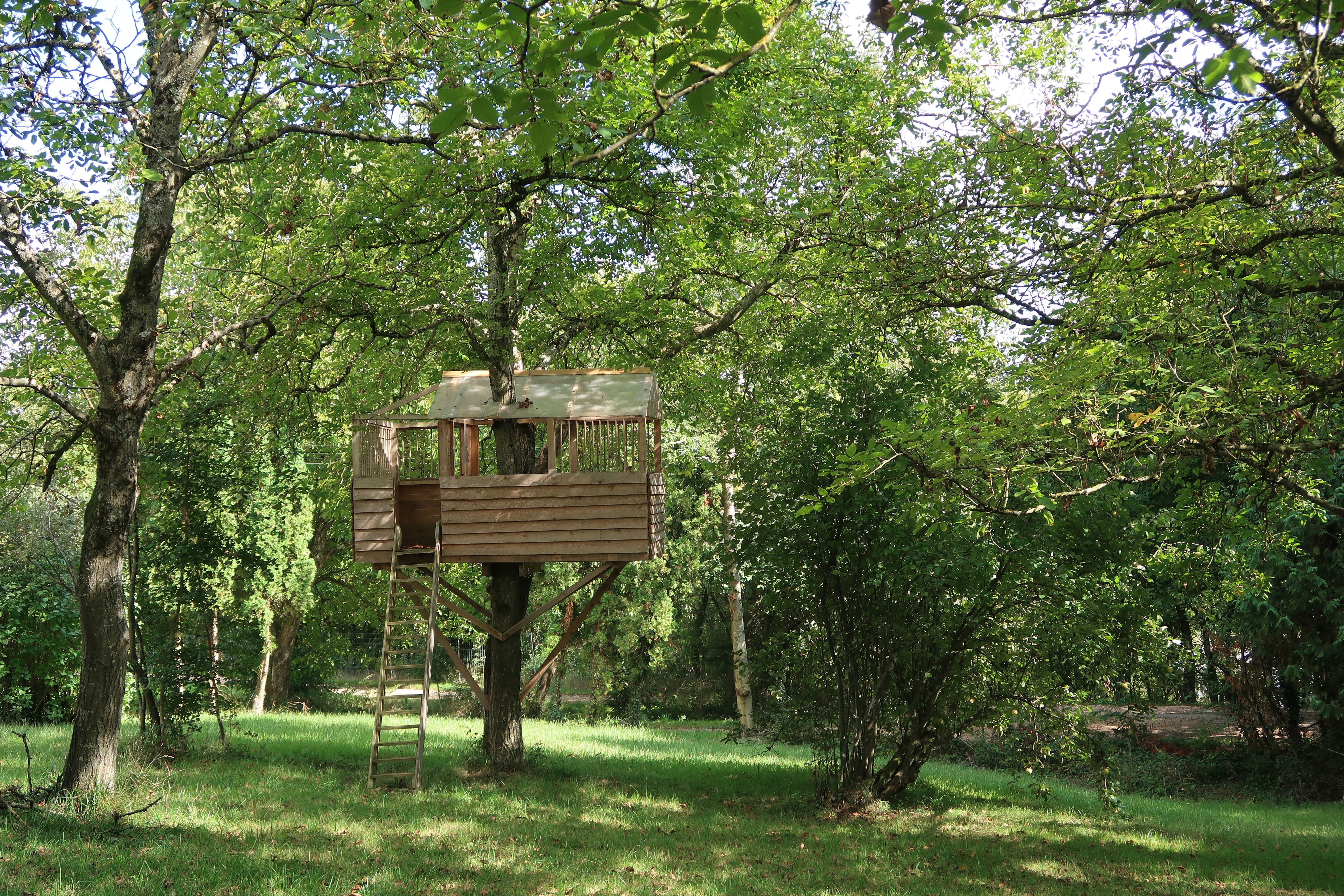 treehouse france