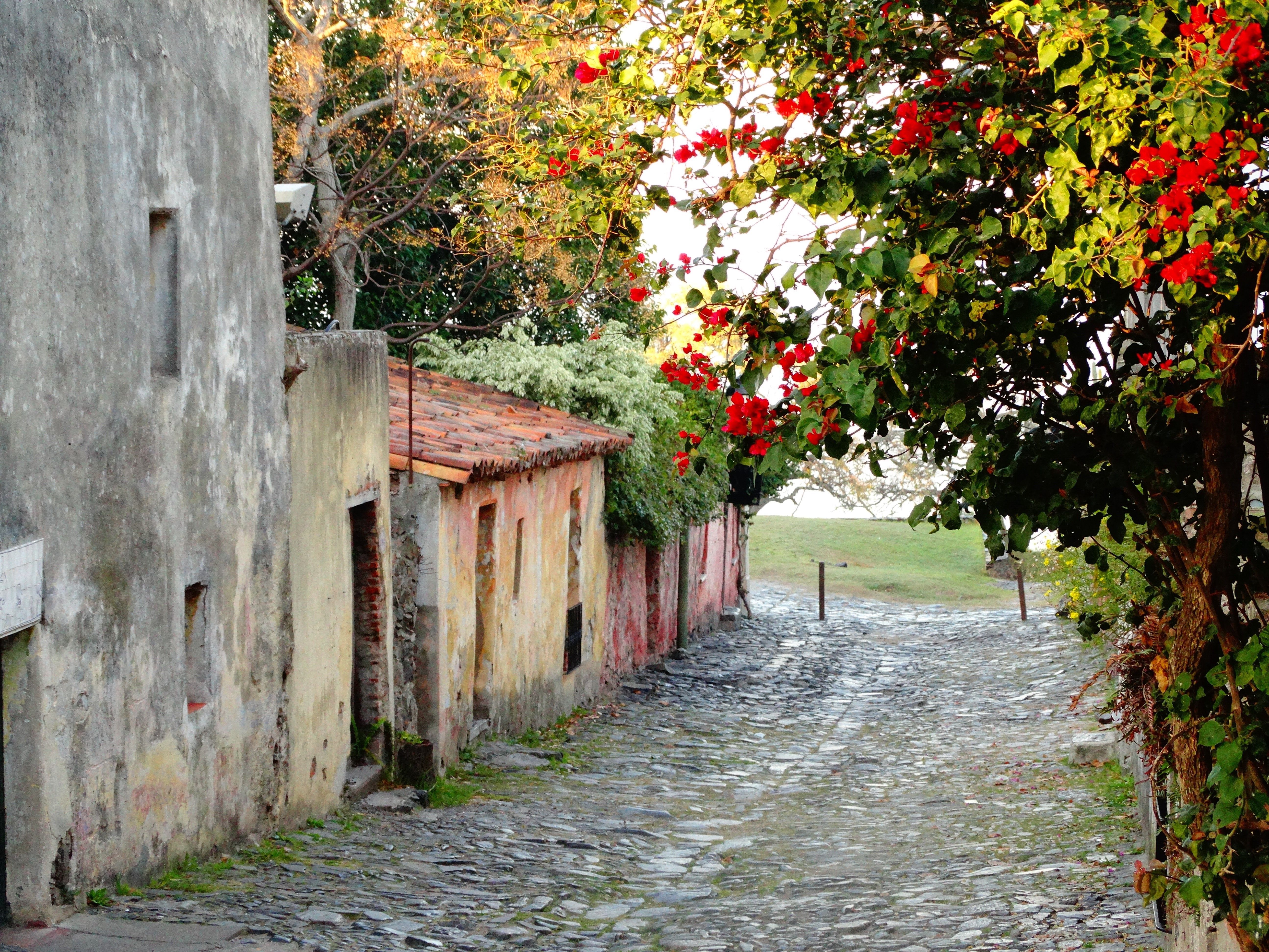 Colonia del Sacramento