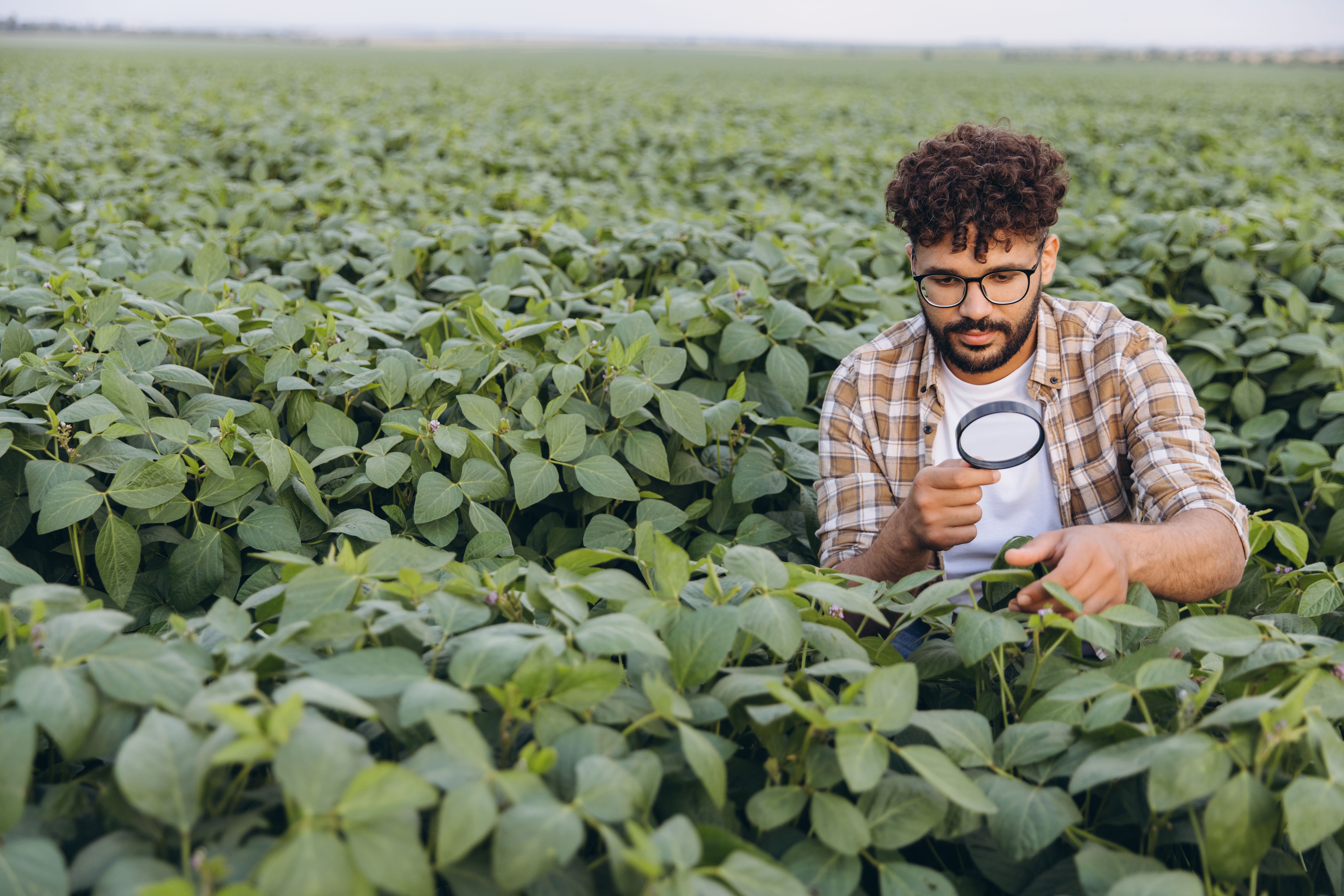 farmer soil analysis