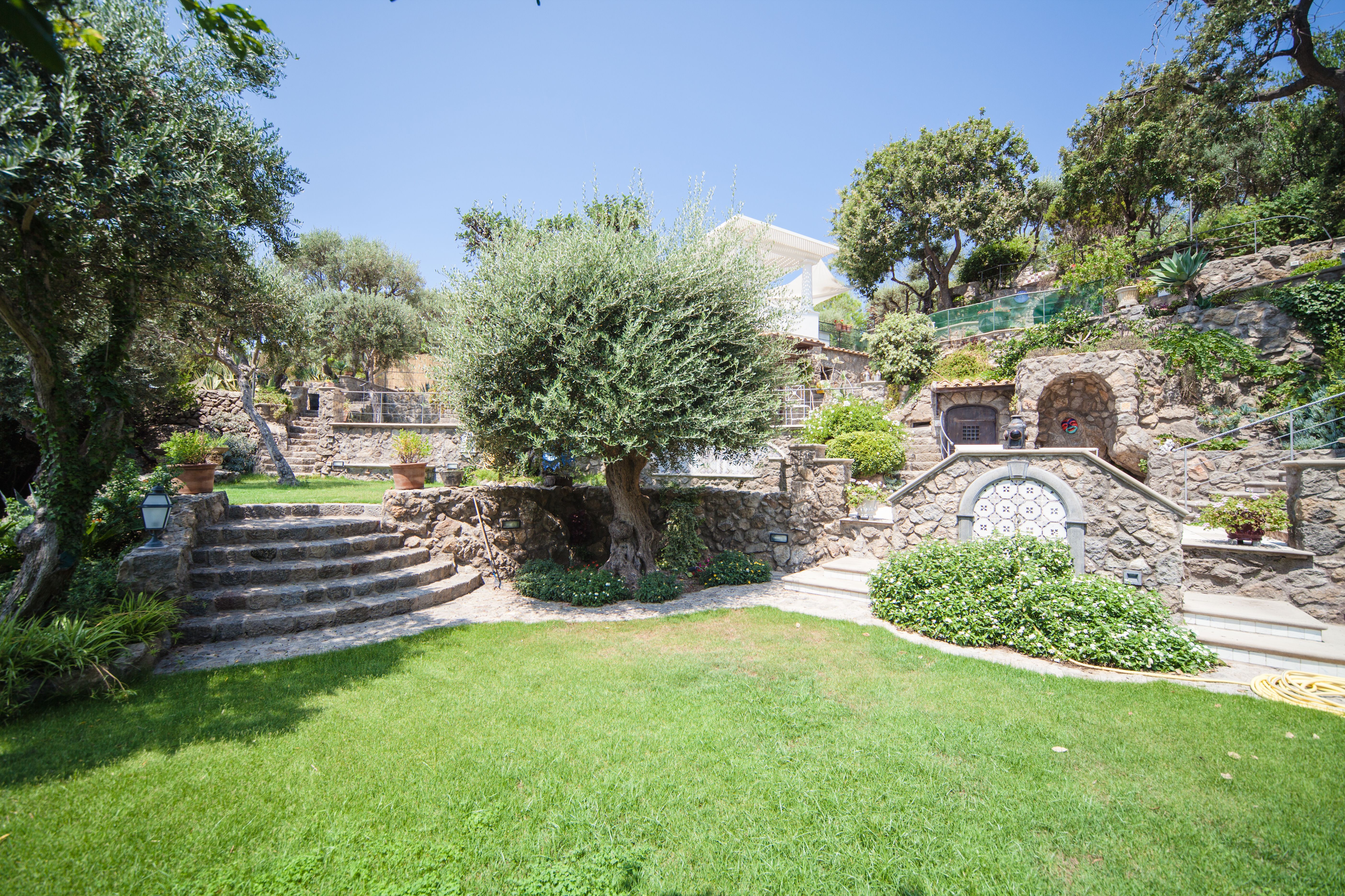 mediterranean garden