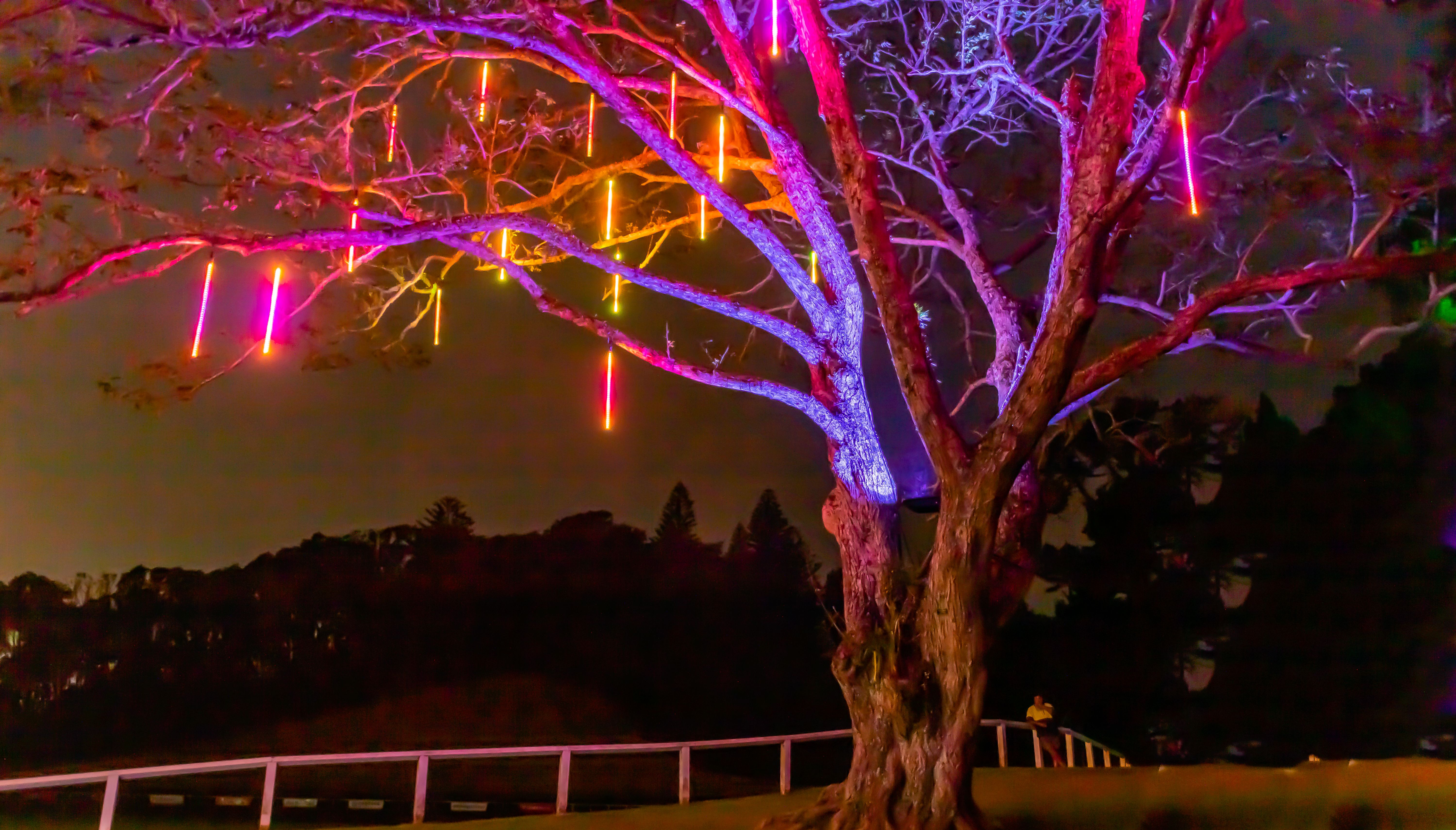 New Zealand festival