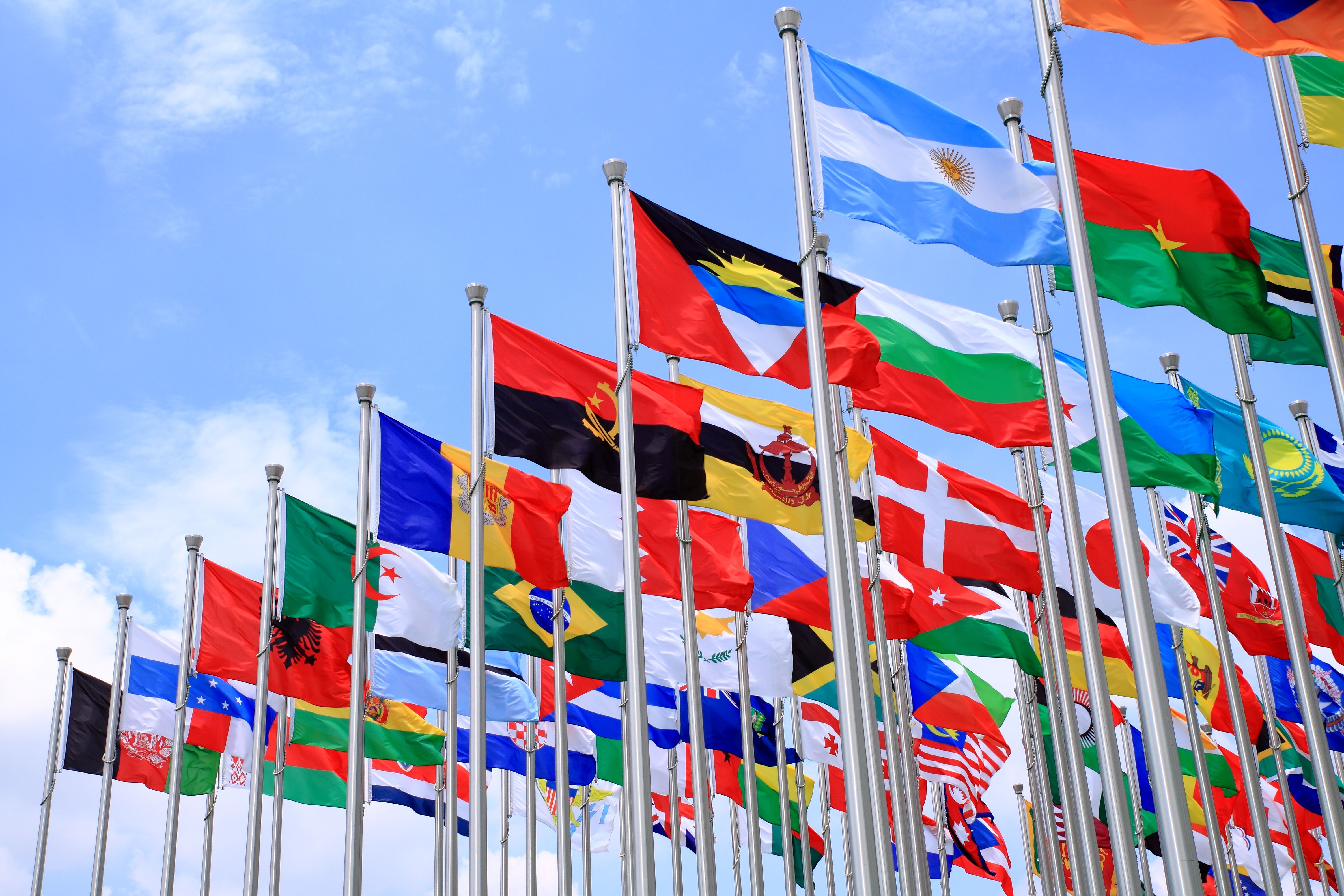 cultural understanding