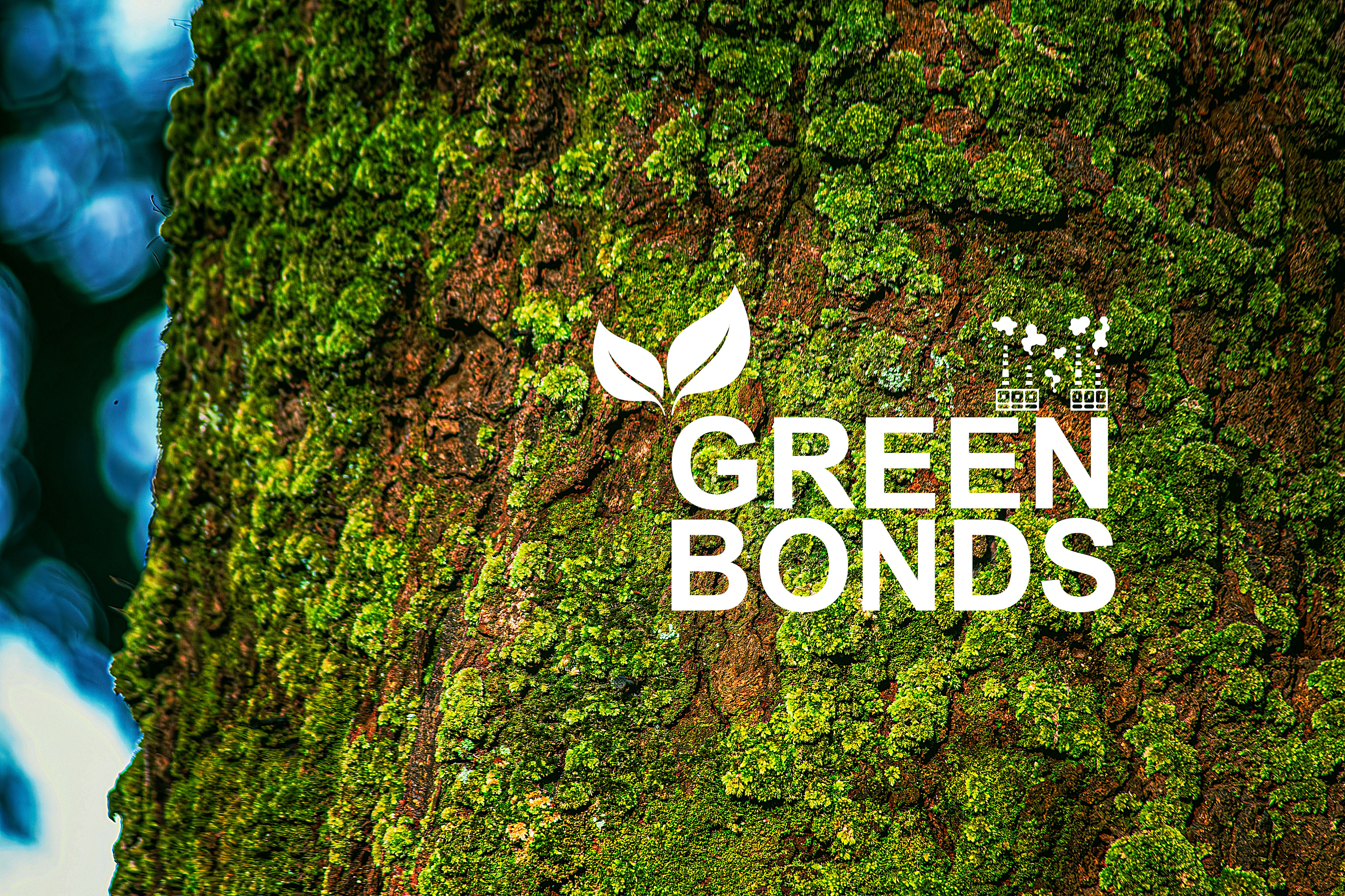 Green bonds are debt instruments used to finance projects that have a positive environmental impact.