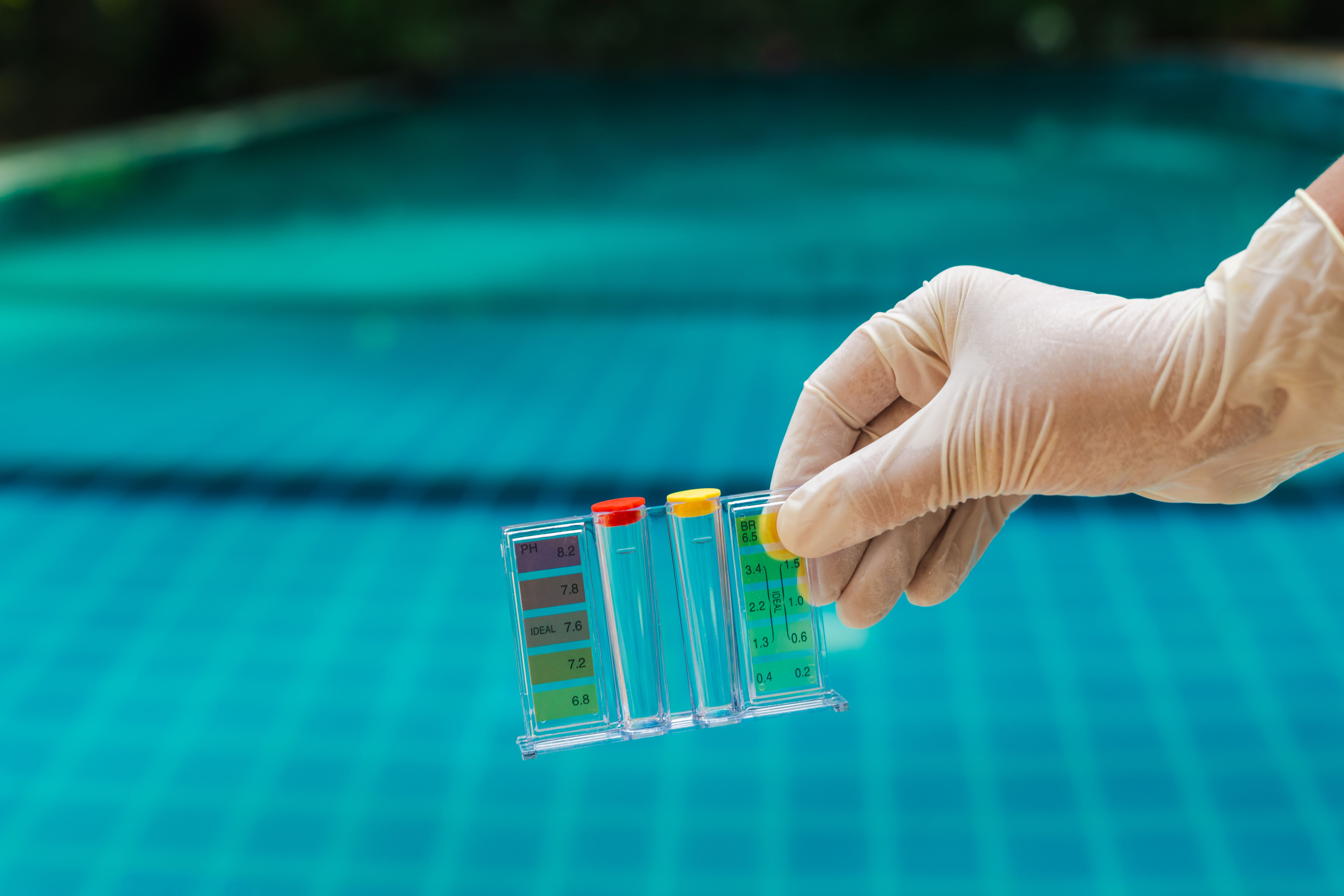 professional pool service