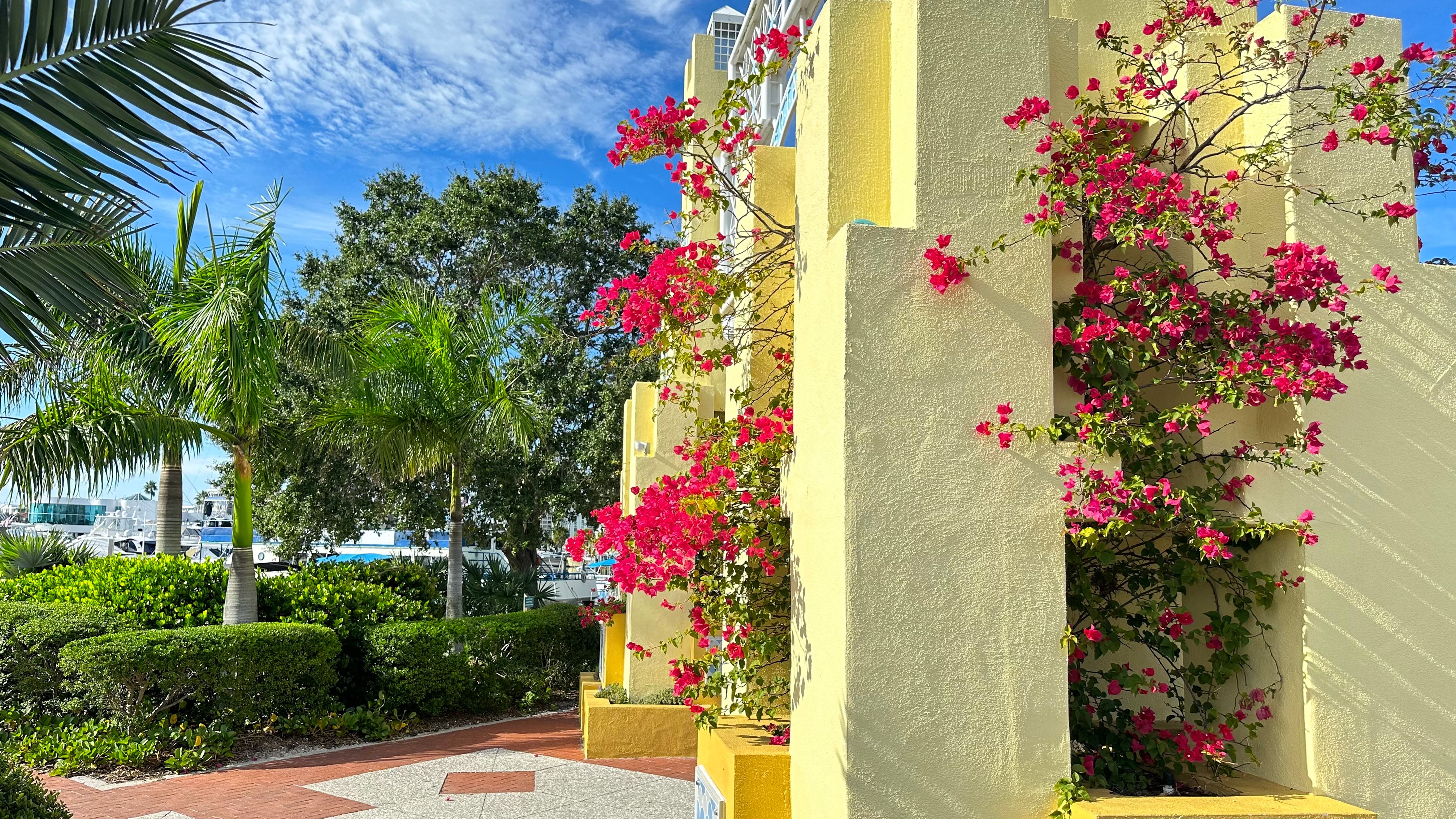 sarasota business exterior