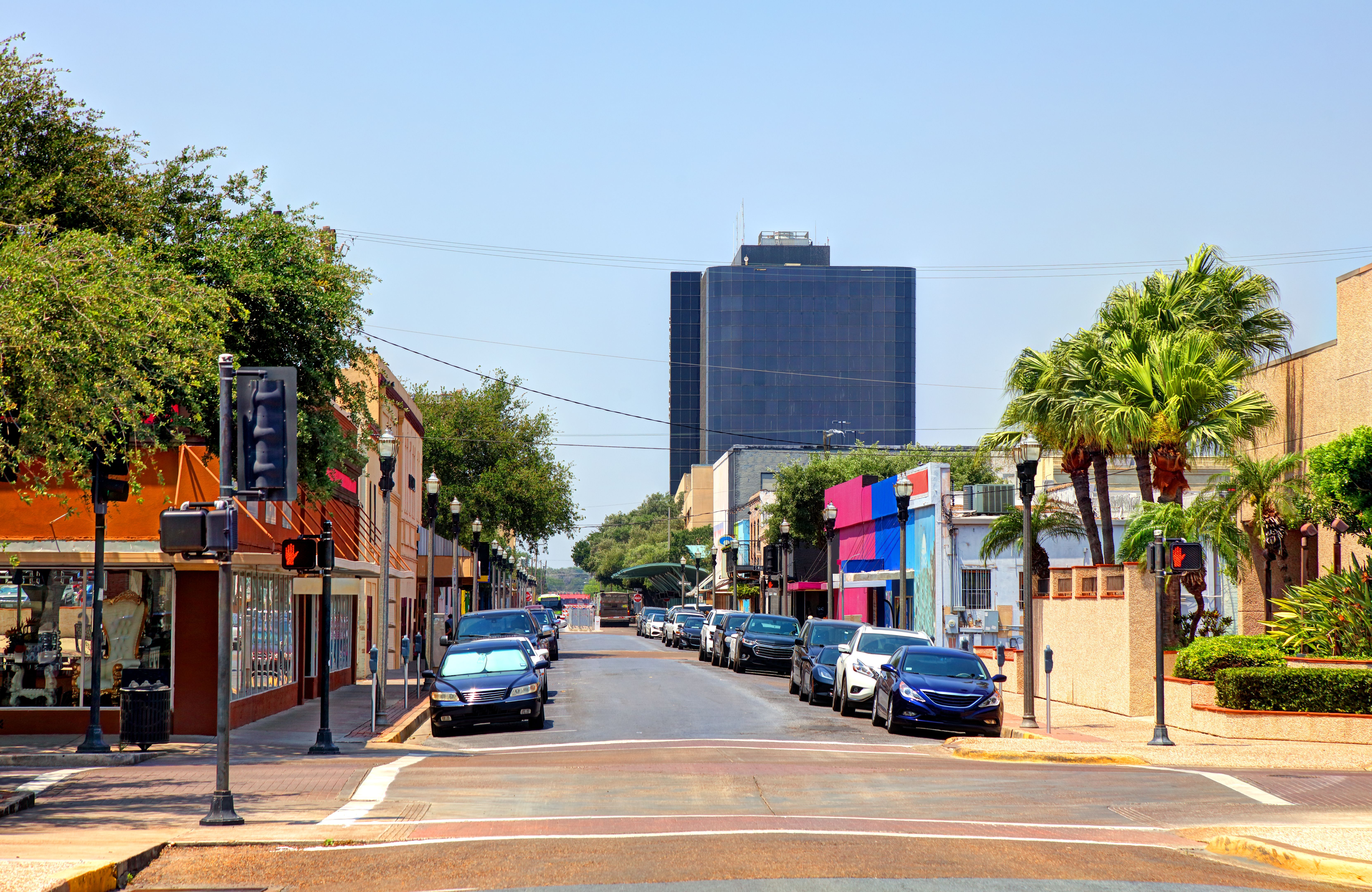 hidalgo county