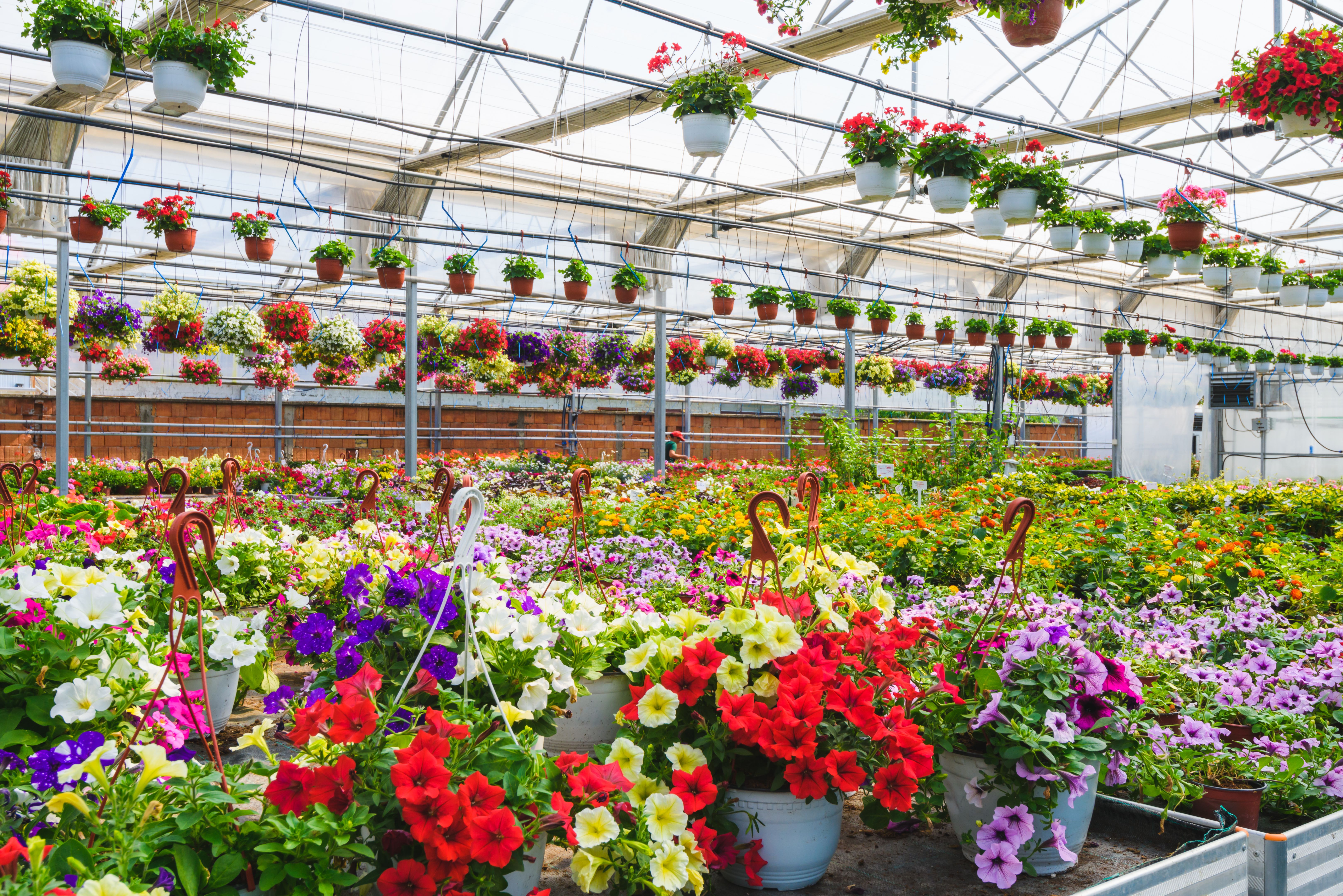 Flower garden greenhouse